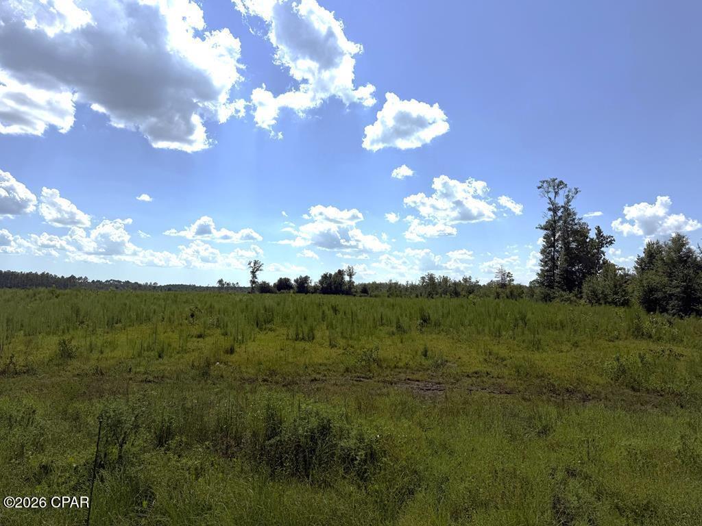 Over two acres just 2 miles south of Wewahitchka with many possibilities. City water is adjacent to the property and other parcels are available as well. A rare opportunity to have substantial acreage at a great price near the city. Some photos are of the entire parent tract for reference only. Please see highlighted approved plat for dimensions.