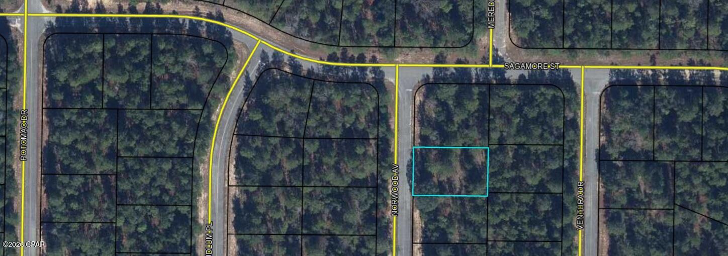 Looking for an affordable piece of Northwest Florida with room to build or hold for the future? Take a look at this flat, lightly wooded lot on Norwood Avenue in Unit 3 of Sunny Hills. Whether you're an investor looking for an inexpensive land investment or searching for an affordable lot to build on in the future. This property offers an attractive opportunity at an affordable price point.

The lot's flat terrain and light tree coverage provide a great starting point for future development. Located just off Dumajack Road and only a short distance from Highway 77, you'll have convenient access in and out of Sunny Hills while still enjoying the quiet, natural atmosphere that makes this community special.

Important utility information: this property will require a private well for water and a septic system. Buyers should verify all utility availability, permitting, building requirements, and site suitability with the appropriate authorities.

Sunny Hills continues to attract attention as development expands throughout the community. Residents enjoy an 18-hole public golf course, numerous lakes and ponds, parks, recreational areas, and easy access to the Gulf Coast. Panama City and the area's beautiful white-sand beaches are within a convenient drive, while Chipley provides nearby shopping, dining, healthcare, and everyday services.

Current Sunny Hills listings demonstrate the wide range of values available for vacant land, making an attractively priced parcel like this particularly interesting for investors seeking an affordable entry point.

Priced to sell fast! Secure this affordable piece of Sunny Hills today. *** seller is a licensed real estate agent ***
