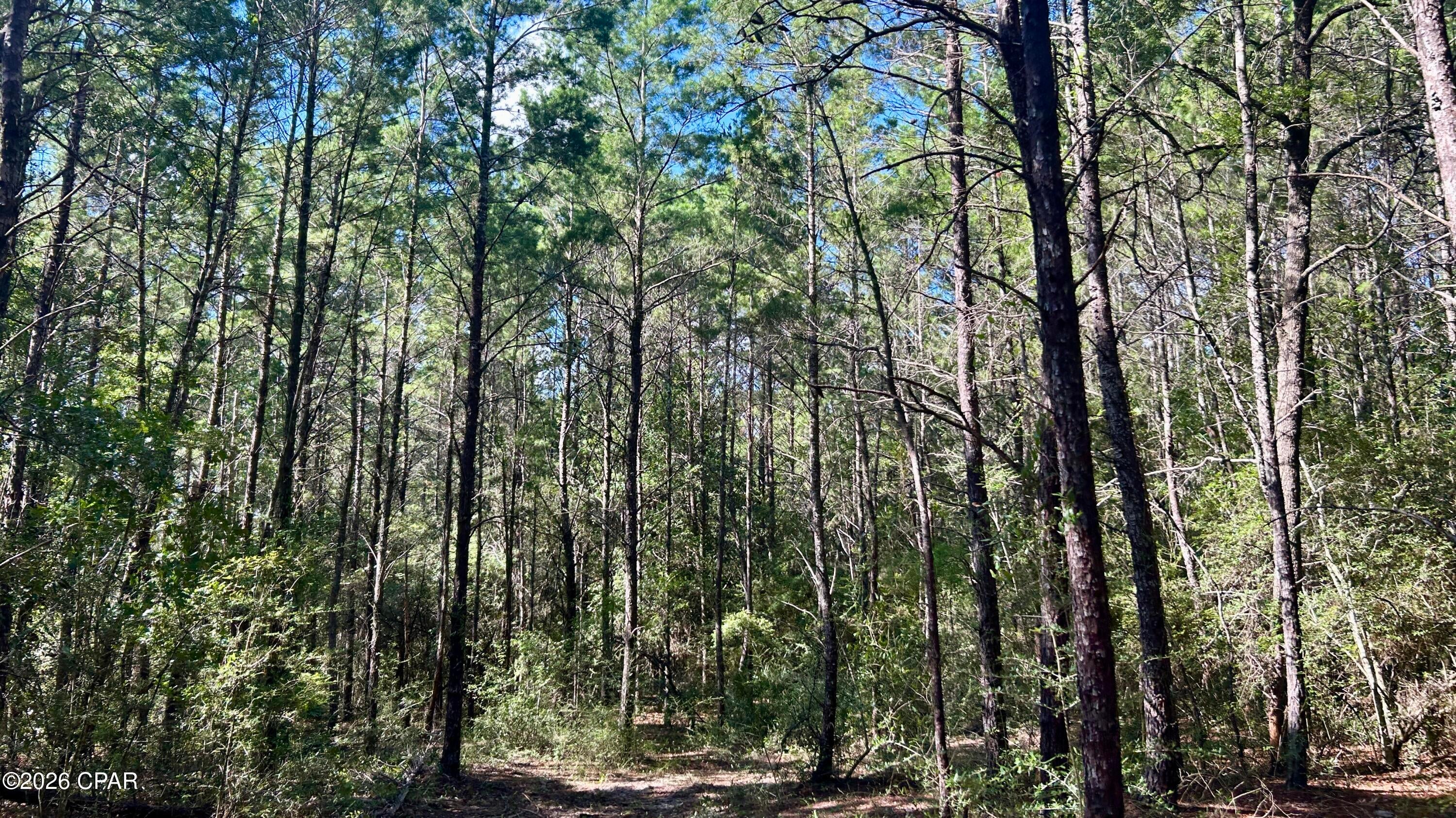 Other - Land