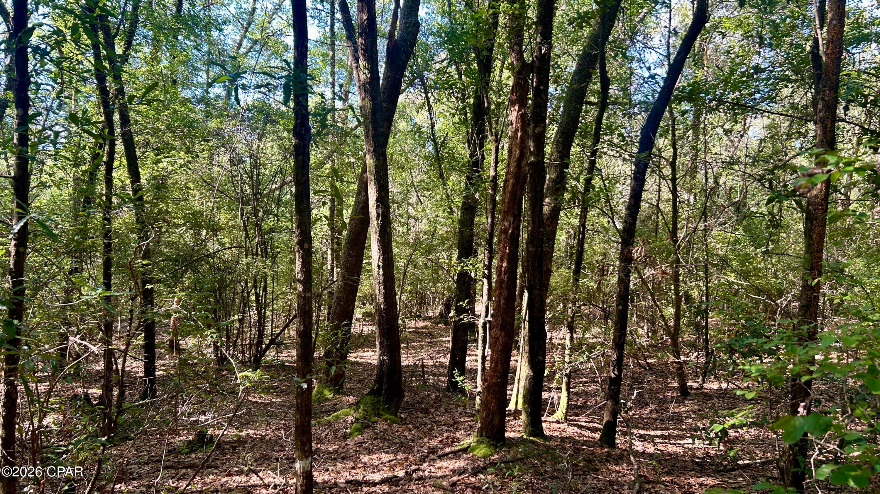 Other - Land