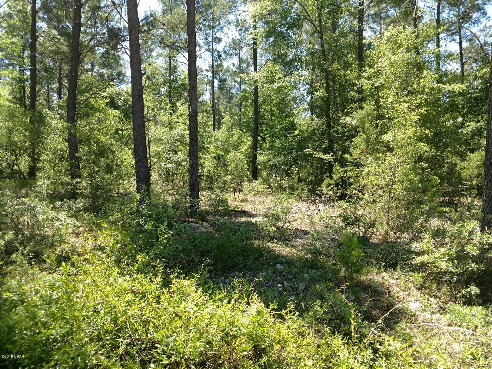 Great chance to own a lot in the Hicks Lake area.  This lot would be great place for a getaway or to build your dream home.