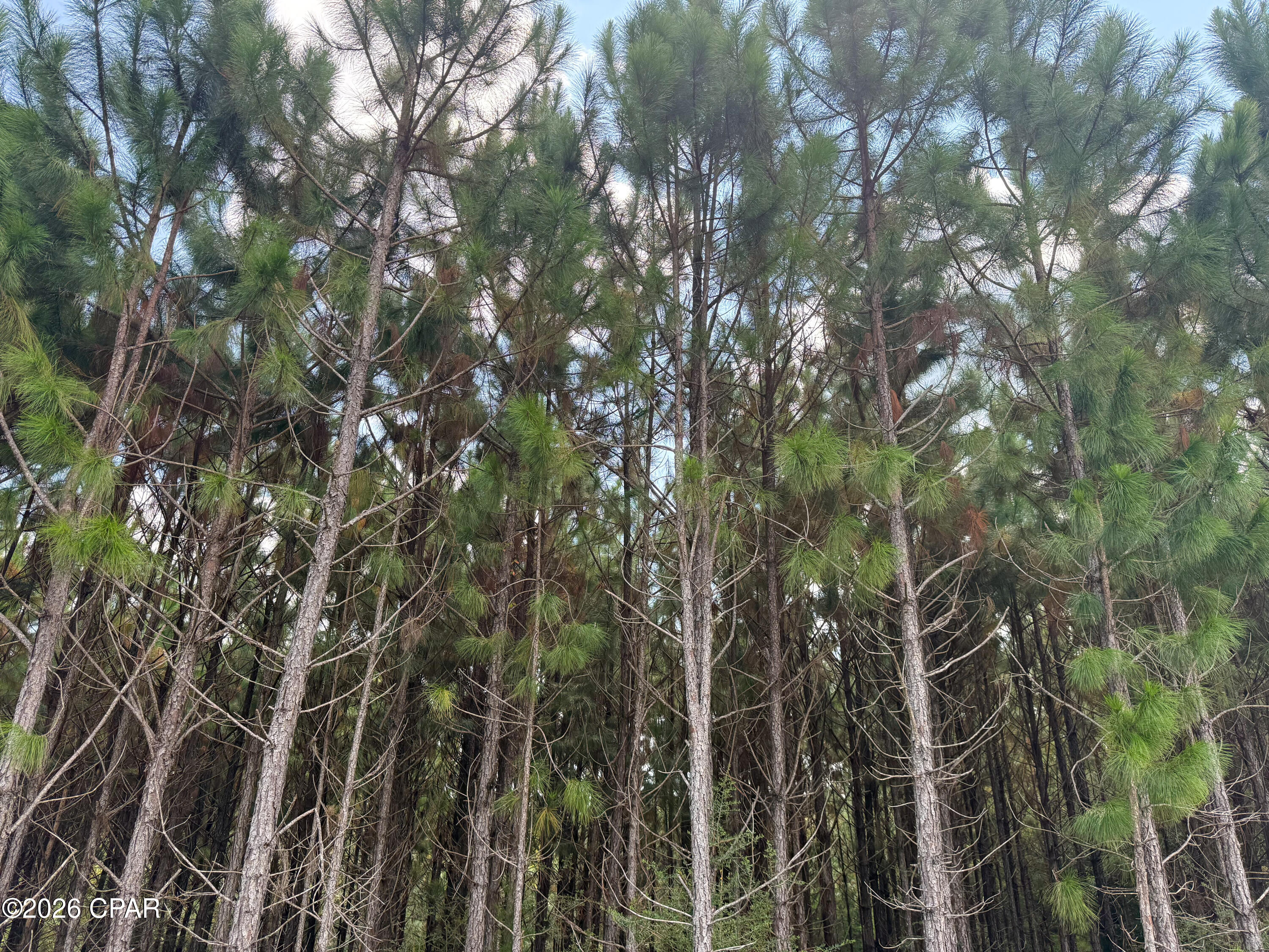 [No Recorded Subdiv] - Land