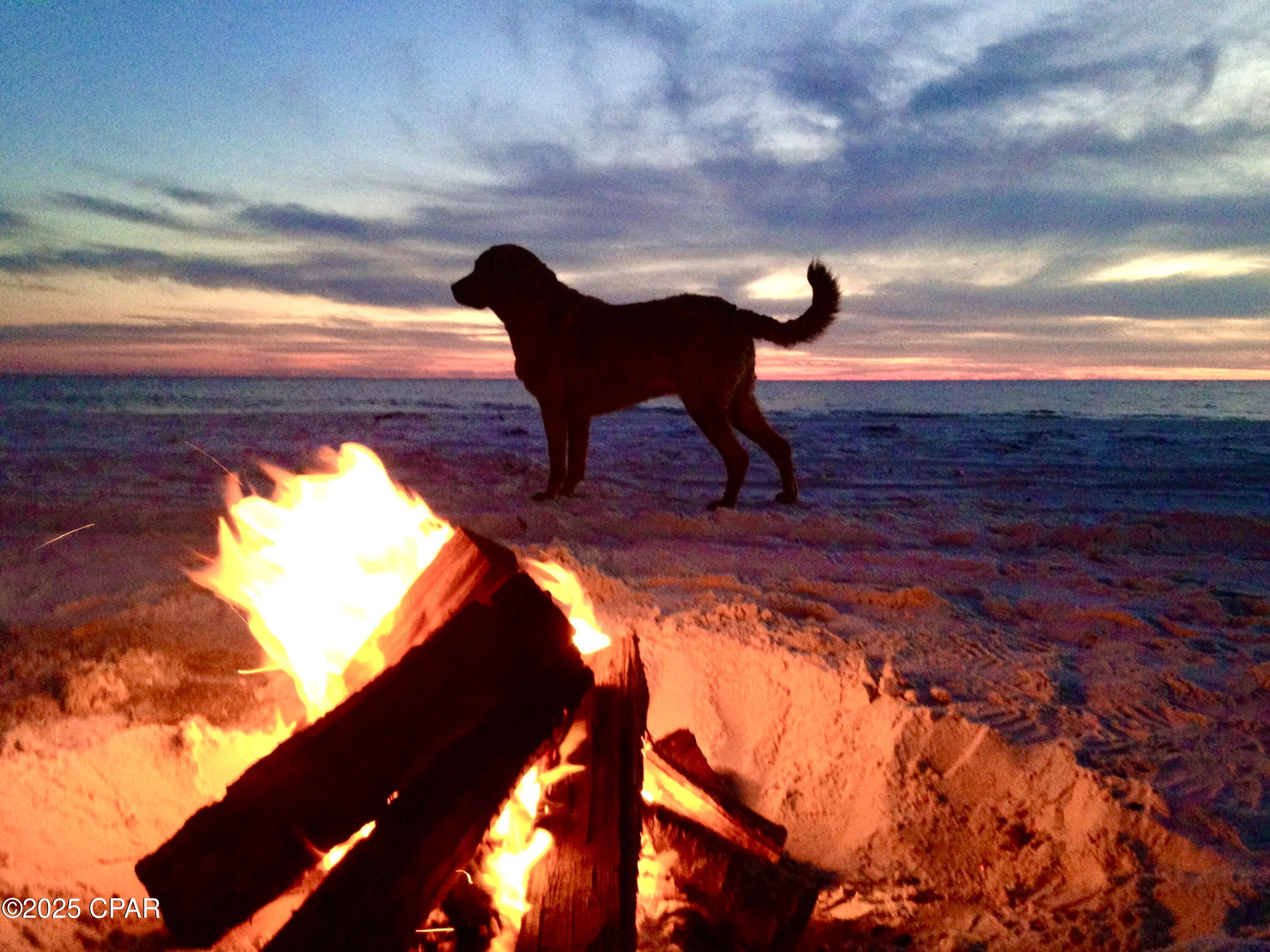 Cape San Blas Shores - Land