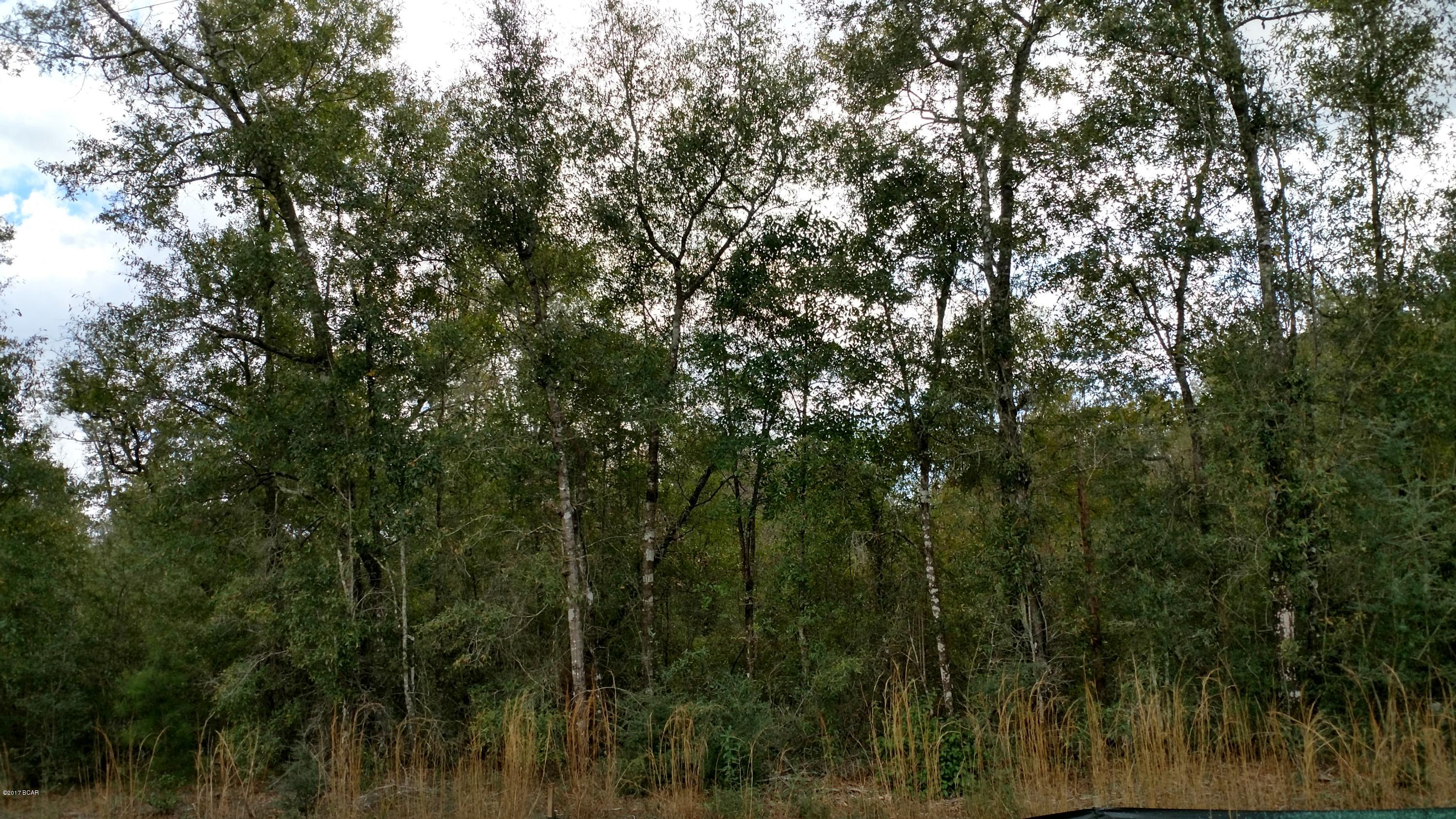 Reedy Creek - Land