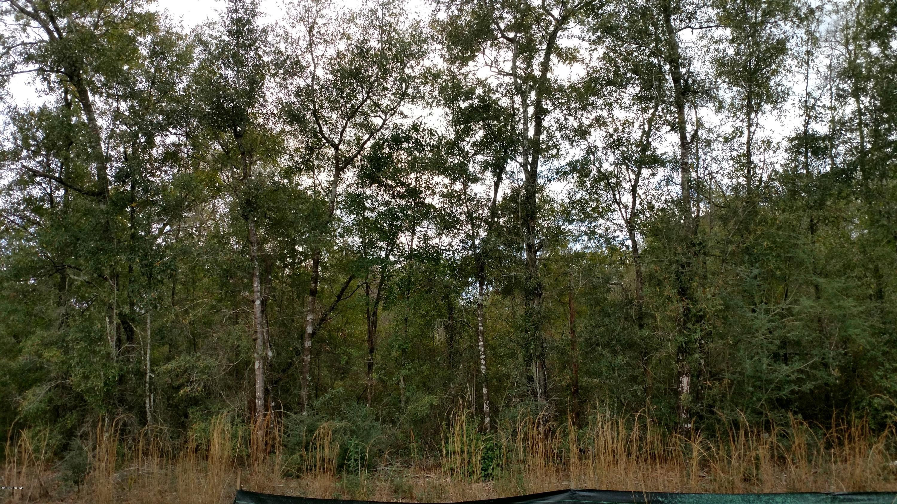 Reedy Creek - Land