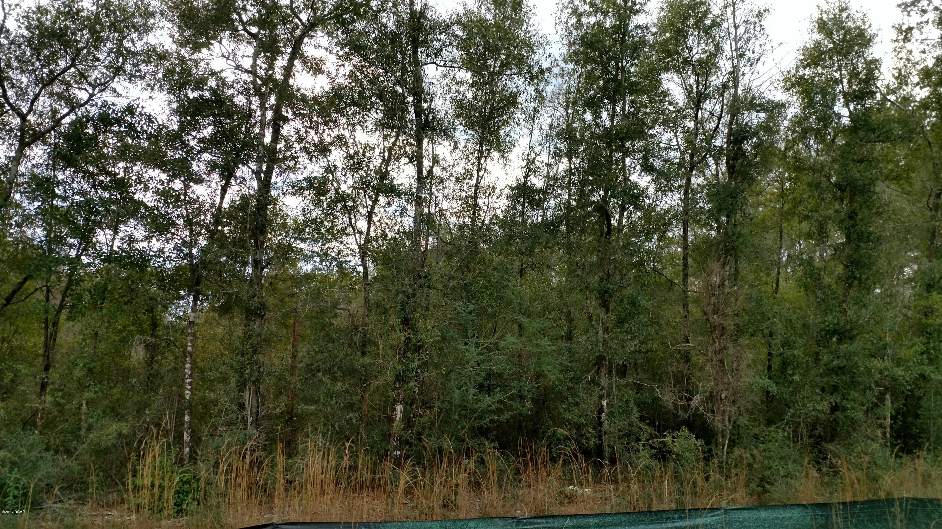 Reedy Creek - Land