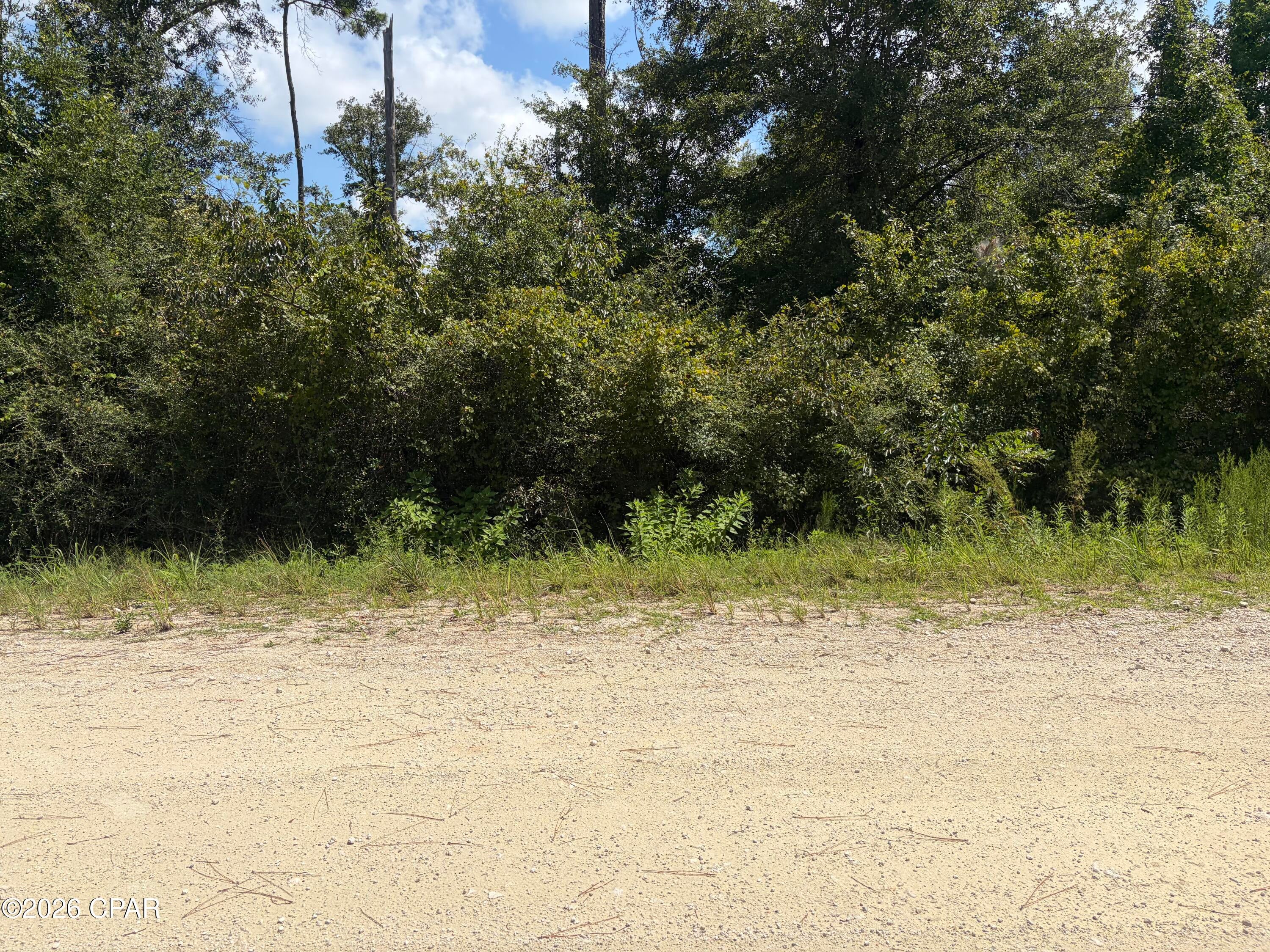 Here is your beautiful Country setting Lot for your new home.  If you enjoy the peace and quiet, this is the place to be.  Compass Lake in the Hills does have a POA Property Owners Association that is Optional and provides some amenities.  But there is no HOA with Restrictions.