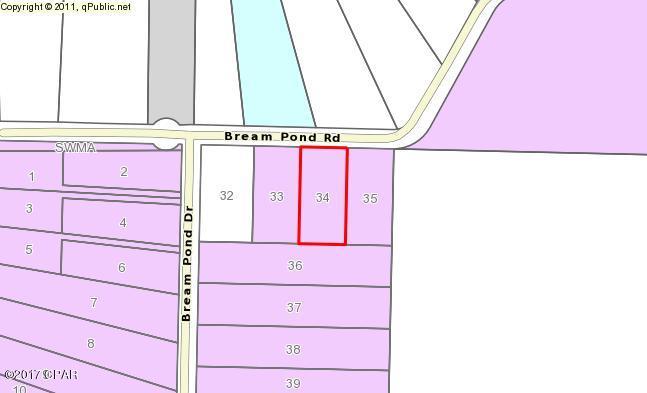 Bream Pond - Land