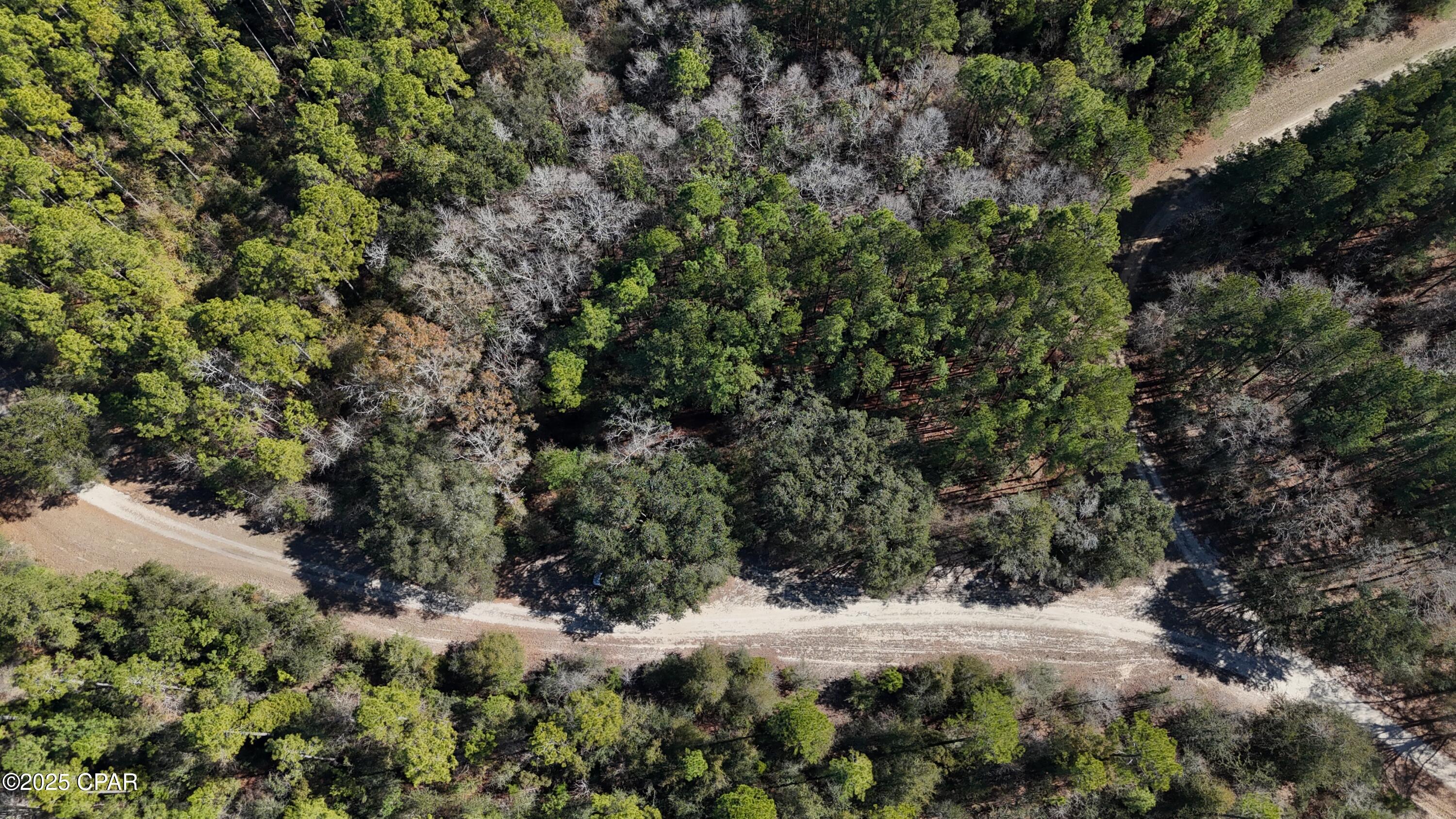 Canopy Crossing - Land