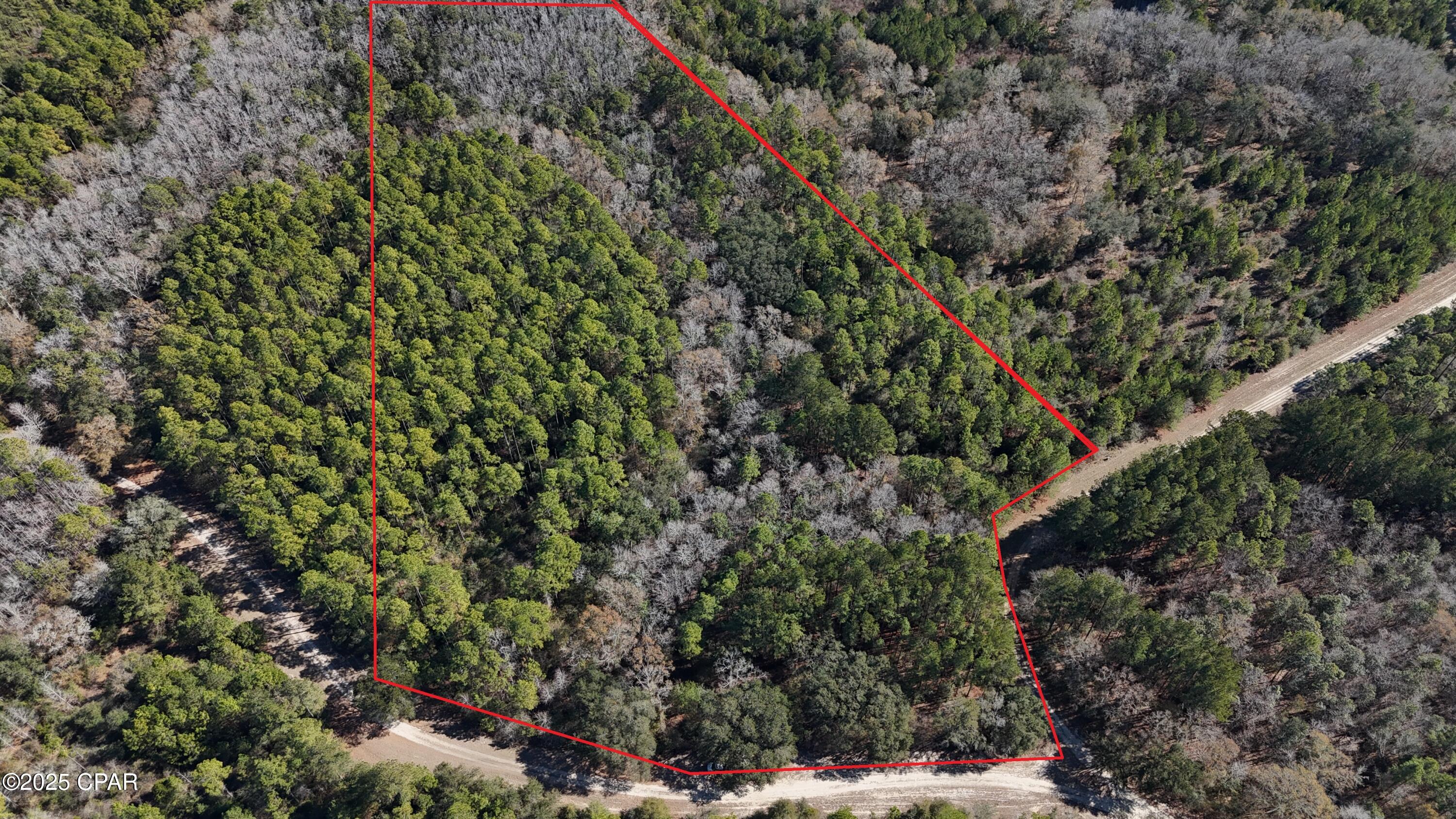 Seller is willing to consider a discounted purchase price for a cash offer with favorable terms.

Looking for the perfect blend of space, privacy, and natural beauty within a gated community? This beautiful 10.32-acre property in the exclusive Canopy Crossing subdivision in Bonifay, Florida, offers all that and more.

Located just off Dogwood Lakes Highway, the property features underground electricity already in place and is surrounded by abundant wildlife, including deer--making it a peaceful retreat for nature lovers. Enjoy the added security and serenity of gated-community living while still being conveniently located approximately one hour from the white-sand beaches of Panama City Beach and less than an hour from Fort Novosel, Alabama.

Whether you're ready to build your dream home, create a private vacation retreat, or invest in your own piece of Northwest Florida, this property is full of possibilities.

Don't miss this opportunity--contact your Realtor today to schedule a showing!