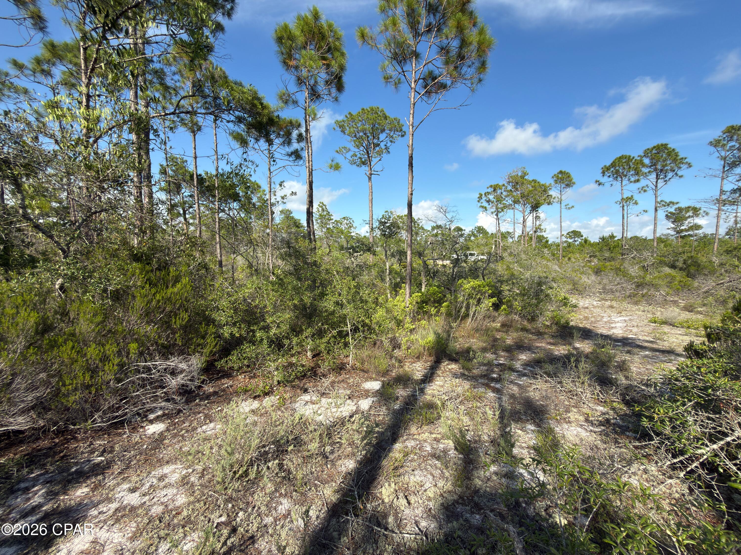 One of the largest lots available near the beach! At over 2/3 acre this .68 acre lot has good elevation with a flowing sand ridge and many native foliage varieties with palmettos, pines, and scrub oaks. Nestled in the St. Joseph Shores community at the end of a dead end driveway, one is assured seclusion with a great location 5 minutes equidistant to Port St Joe or St Joe Beach. Public beach access points just a short golf cart ride in either direction on old Hwy 98. Don't miss out on one of the last parcels roughly 3 times the size of most lots. Some dimensions obtained from the Gulf County Property Appraiser's website. Please verify if important.