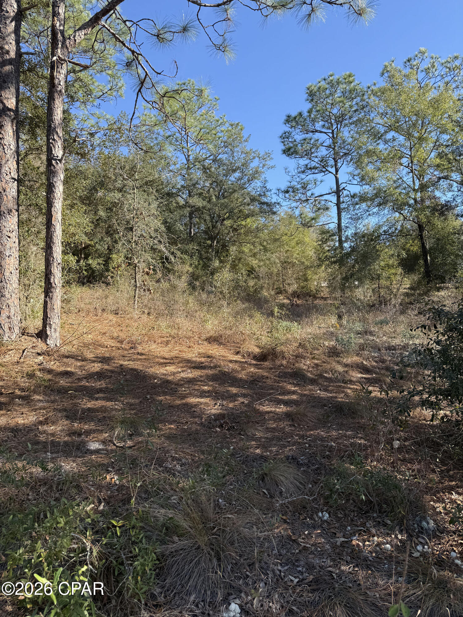 Grassy Pond Ranch - Land