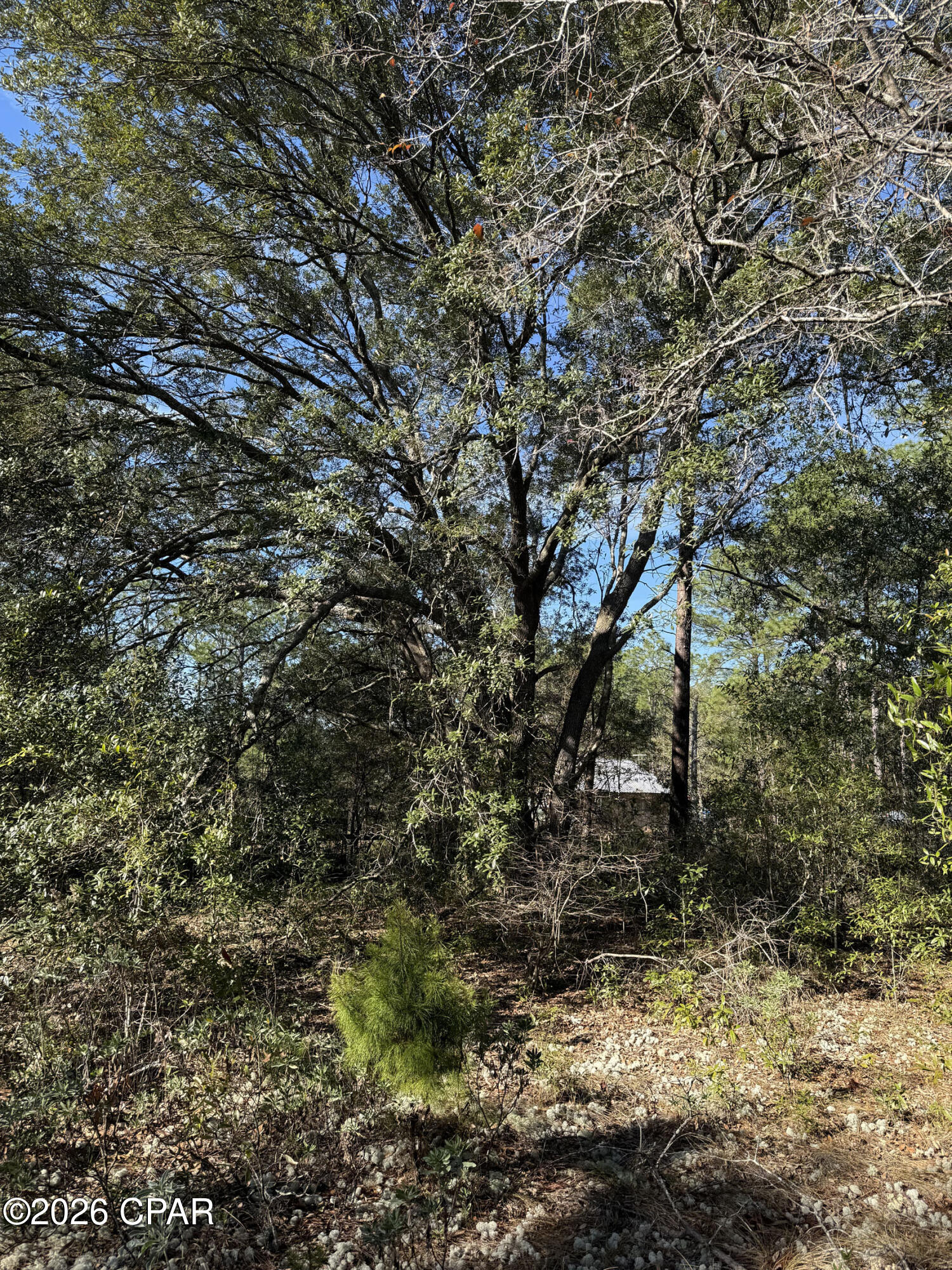Grassy Pond Ranch - Land