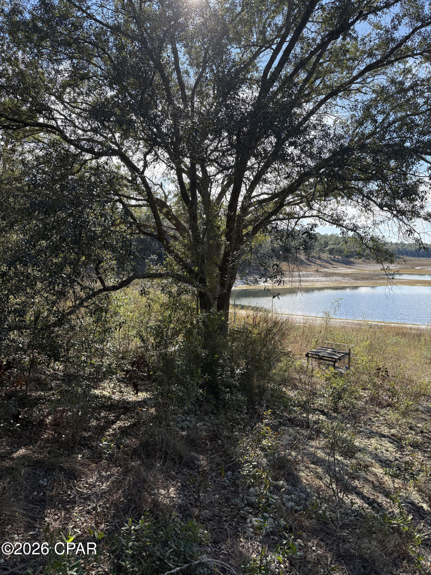 Grassy Pond Ranch - Land