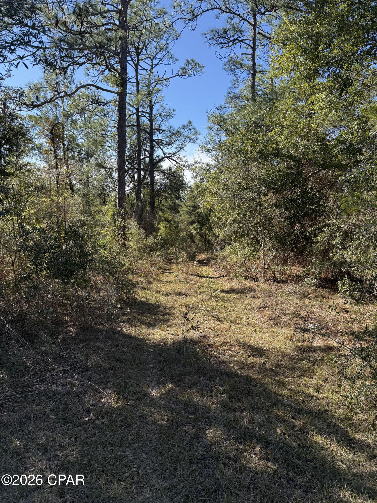 Grassy Pond Ranch - Land