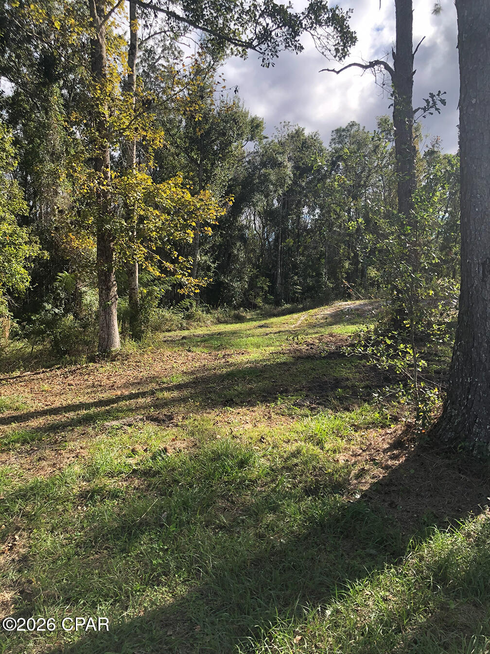 Private one half acre lot at the dead end of paved road.  This lot offers privacy, quiet , no drive by traffic location.  East boundary is government land and the back of property is government land FWCC Government land contains 379 acres that border the East boundary and rear of property. Howard Creek is friendly golf cart community with small store, park/ playground, church and fire department,ice, gas  and supplies ar store.   Lot ha big timber, partially cleared with existing septic tank and deep well that have never been used. Some wetlands, survey available, No power pole  on lot, but  electricity , power pes on Max Fleming rd from Gulf Coast electric. World clans fishing for the rivers, East River, Apachacola  river, Brothers river et.  Upper and lower landing I Creek and Saul's public boat launch nearby.  White city, short drive offers a public launch to lake Wimico, Gulf County coal and the St Joe Bay.  St. Joe and Mexico Beach , short drive, about 20 minutes away offers beaches, marina, charter boats, scalloping, charter boats, restaurants and shopping.  Wewahiticia is a 20 minutes away drive with groceries, drug store, fast food, small town shops, schools, gas, and supplies. Panam City ad Panama City Beaches are a  shot drive offering all types of entertainment, golf, fishing, fine dining, tourist attractions, amusement parks,pier park shopping,  and several concert/ large events/ thunder beach activities in Panama CITY BEACH ( short drive away)  each year.. the property to the East of subject lot and to the rear owned by TITF FWCC , 379.27  acre parcel according to property appraiser map  subject property   as East ad South boundaries with State owned Land. Florida Wildlife  Conservation. .379. 27 acres (according to Gulf County map on appraiser site.)  adjacent to subject property. . Boat launch nearby at upper and lower landing in Howard  Creek community. Property needs power pole.  Deep well and septic tank never used or hooked up., to be sold in as is condition.