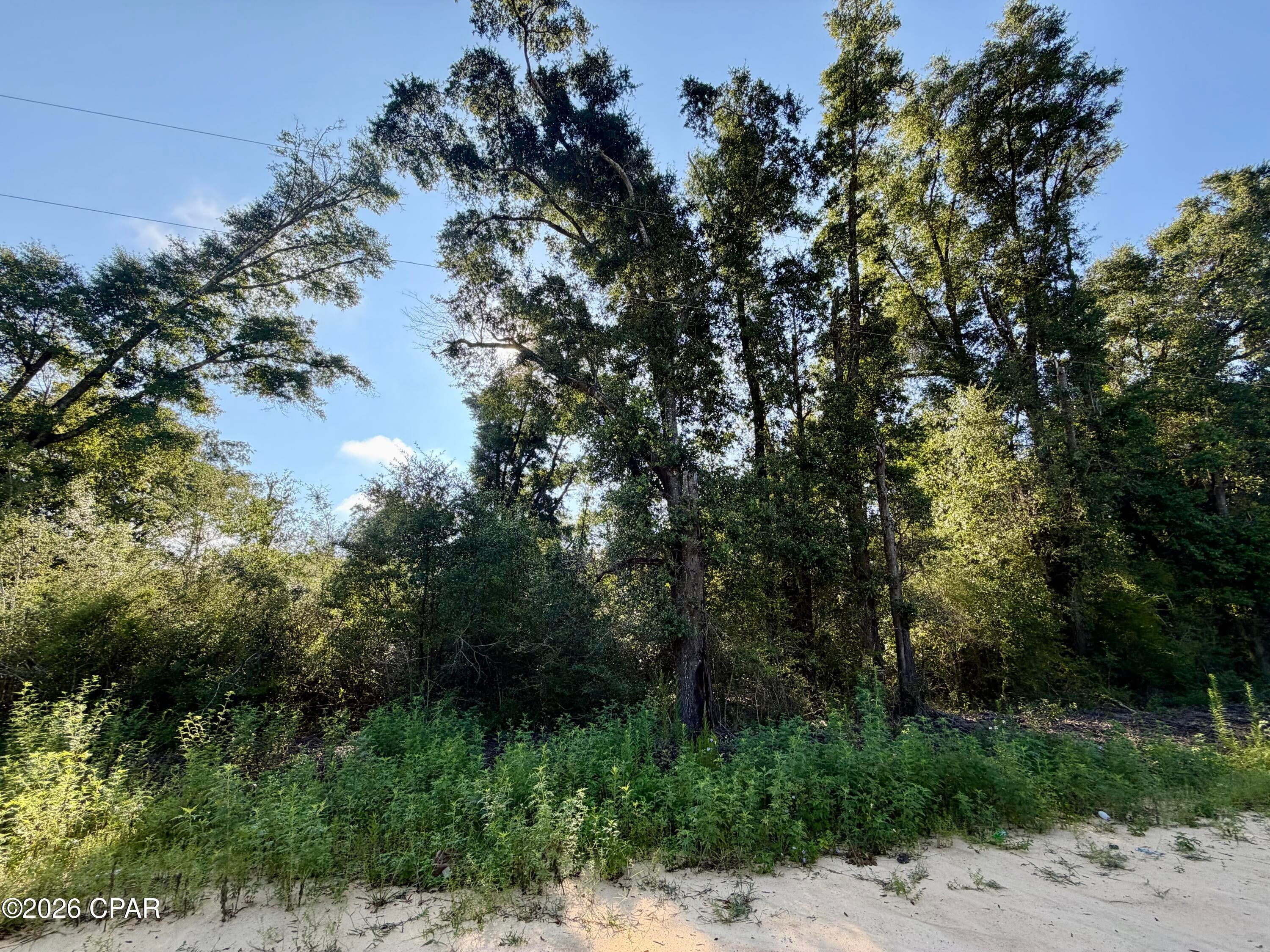 Compass Lake Hills Unit 6 - Land