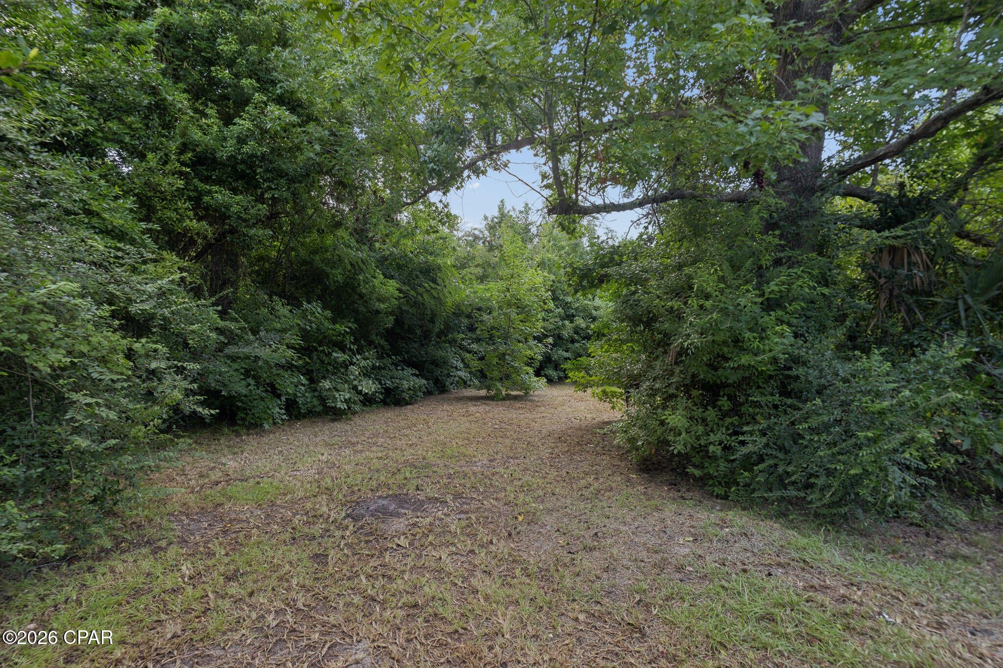 Edgewood - Residential