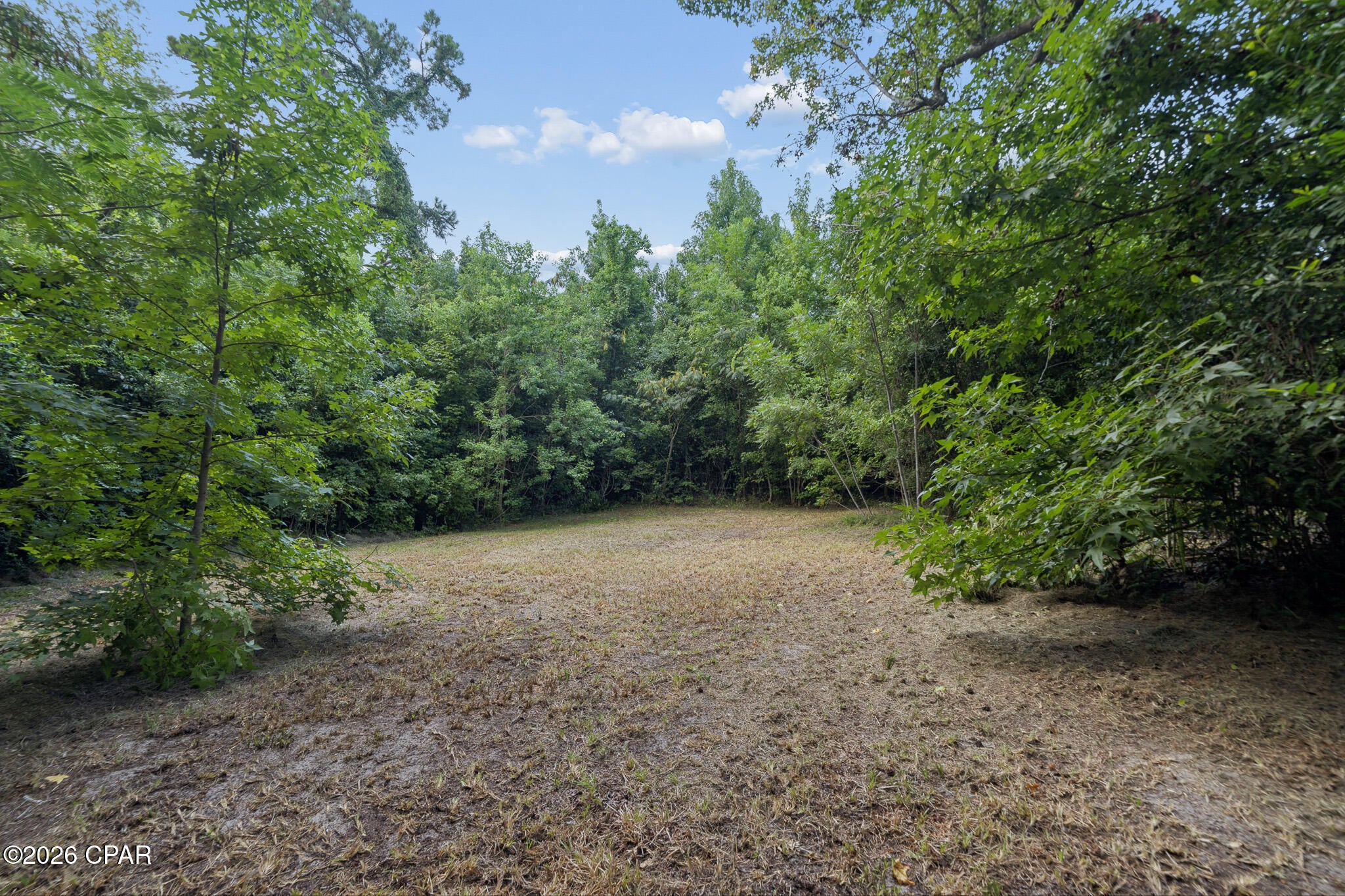 Edgewood - Residential