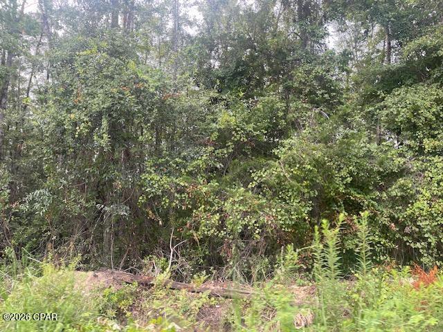 Compass Lake Hills Unit 5 - Land