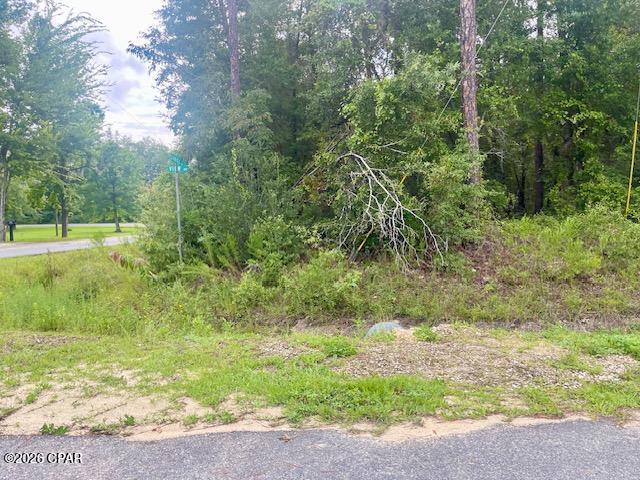 Compass Lake Hills Unit 5 - Land