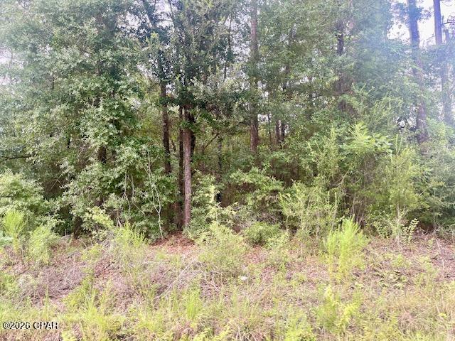 Compass Lake Hills Unit 5 - Land