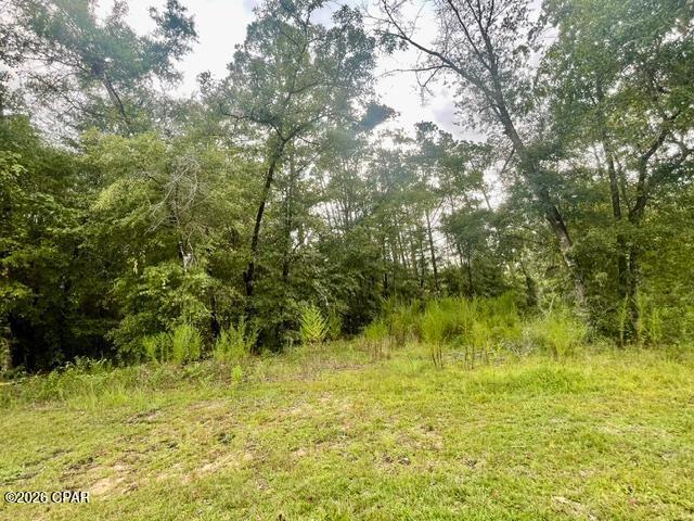 High and dry waterfront & wooded residential lot at beautiful McCormick Lake. Within walking distance of the dock, beach and clubhouse for McCormick Lake. A non mandatory annual POA fee of $135  entitles owners to all amenities of Compass Lake in the Hills. This is an ideal location for your dream home.  Compass Lake Hills has so much to offer.  There are two lakes you have access to and two restaurants near by, It is ideally located with easy access south to Panama City on the coast and north to Marianna for shopping.
* Mobile Homes are now allowed in this subdivision..