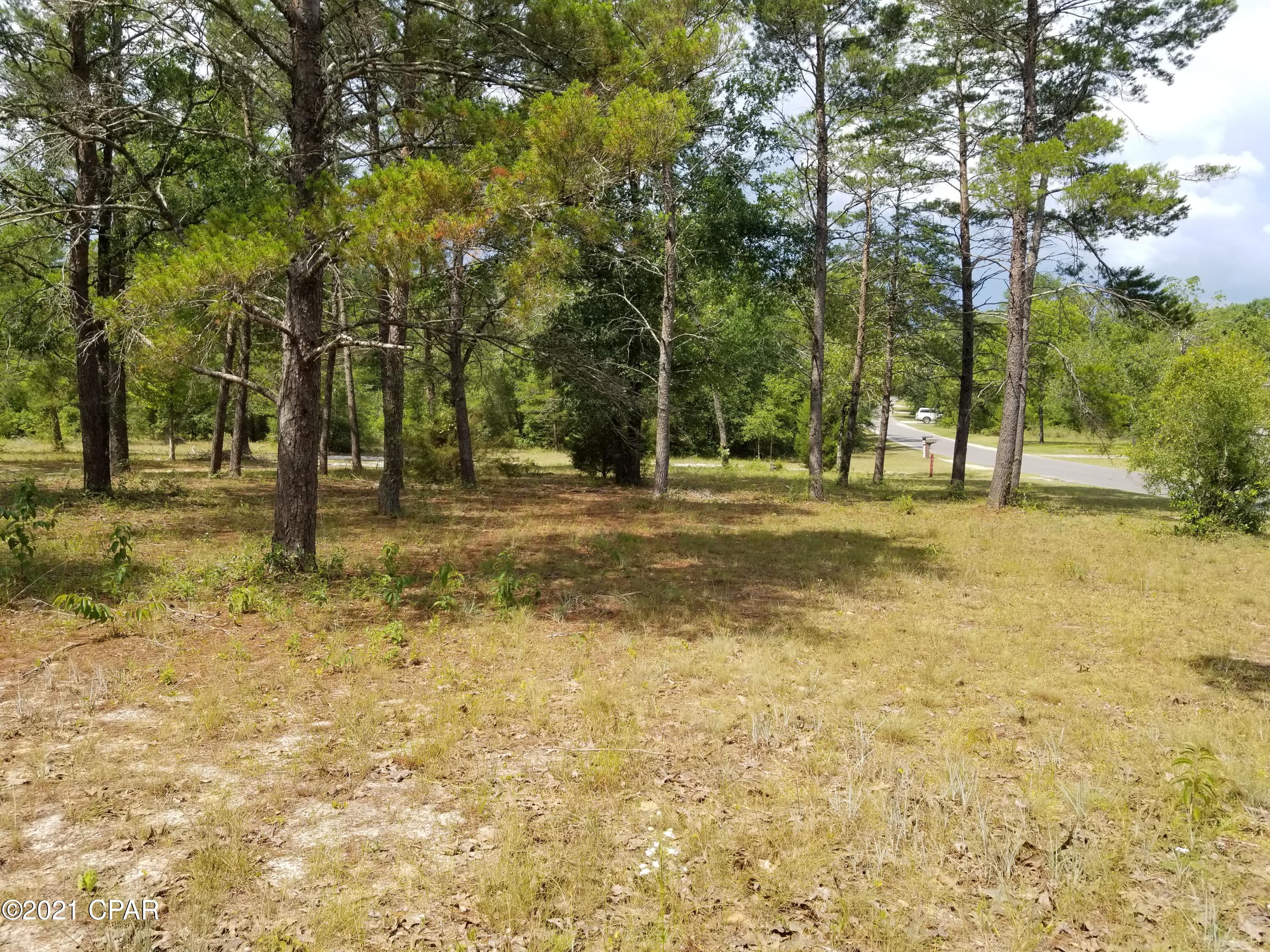 Leisure Lakes 1st Add - Land