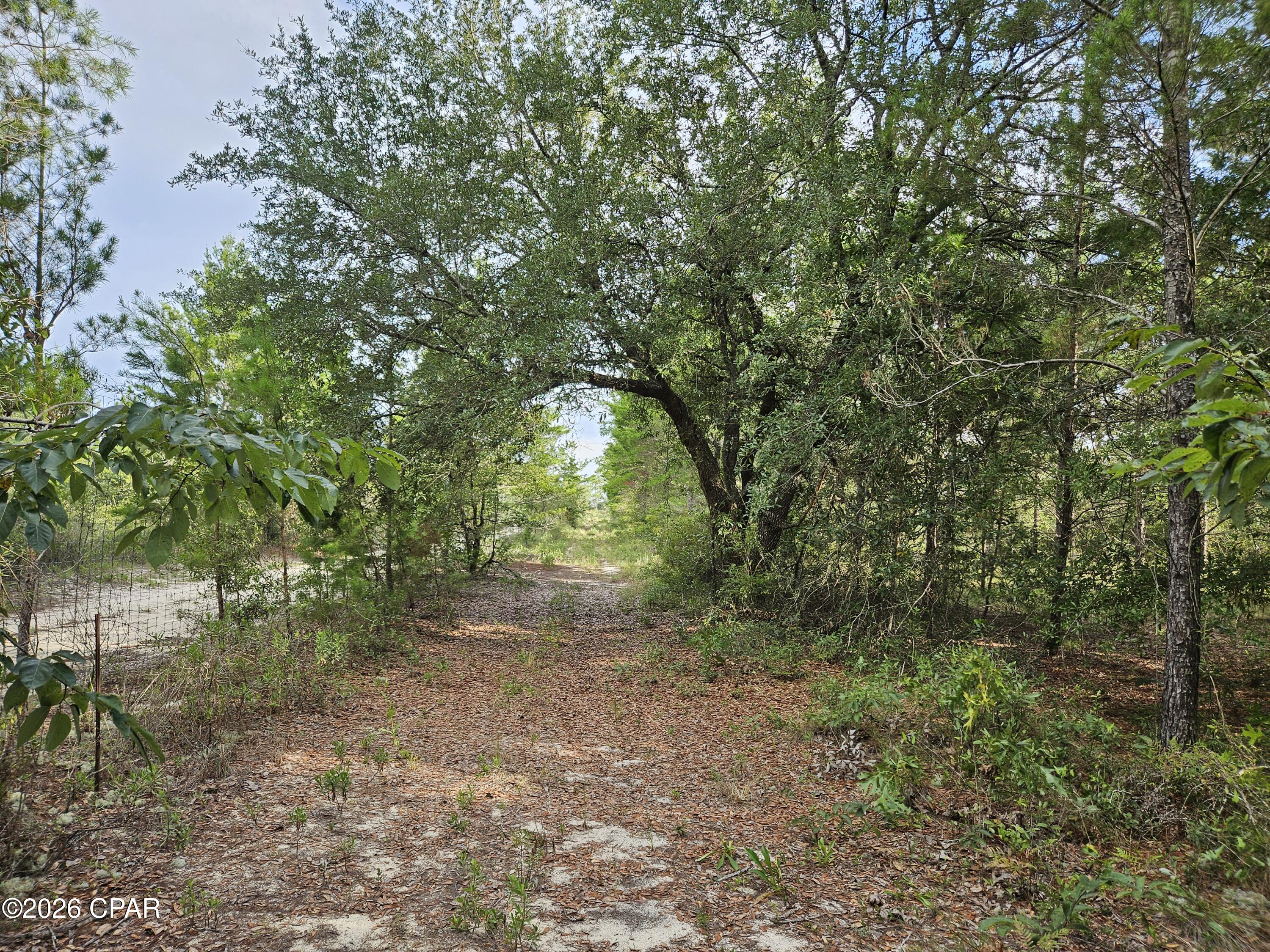 Leisure Lakes 1st Add - Land