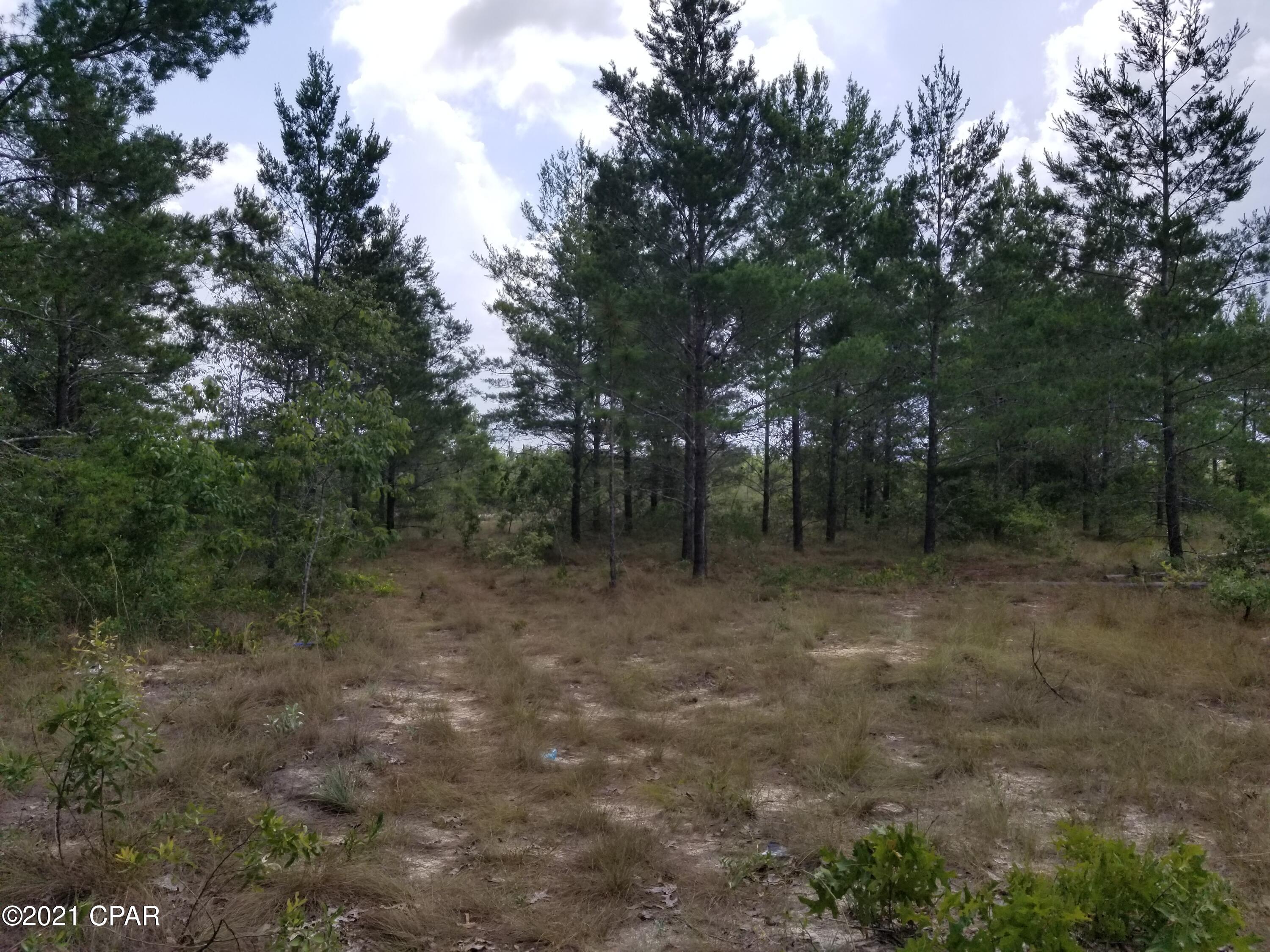Leisure Lakes 1st Add - Land