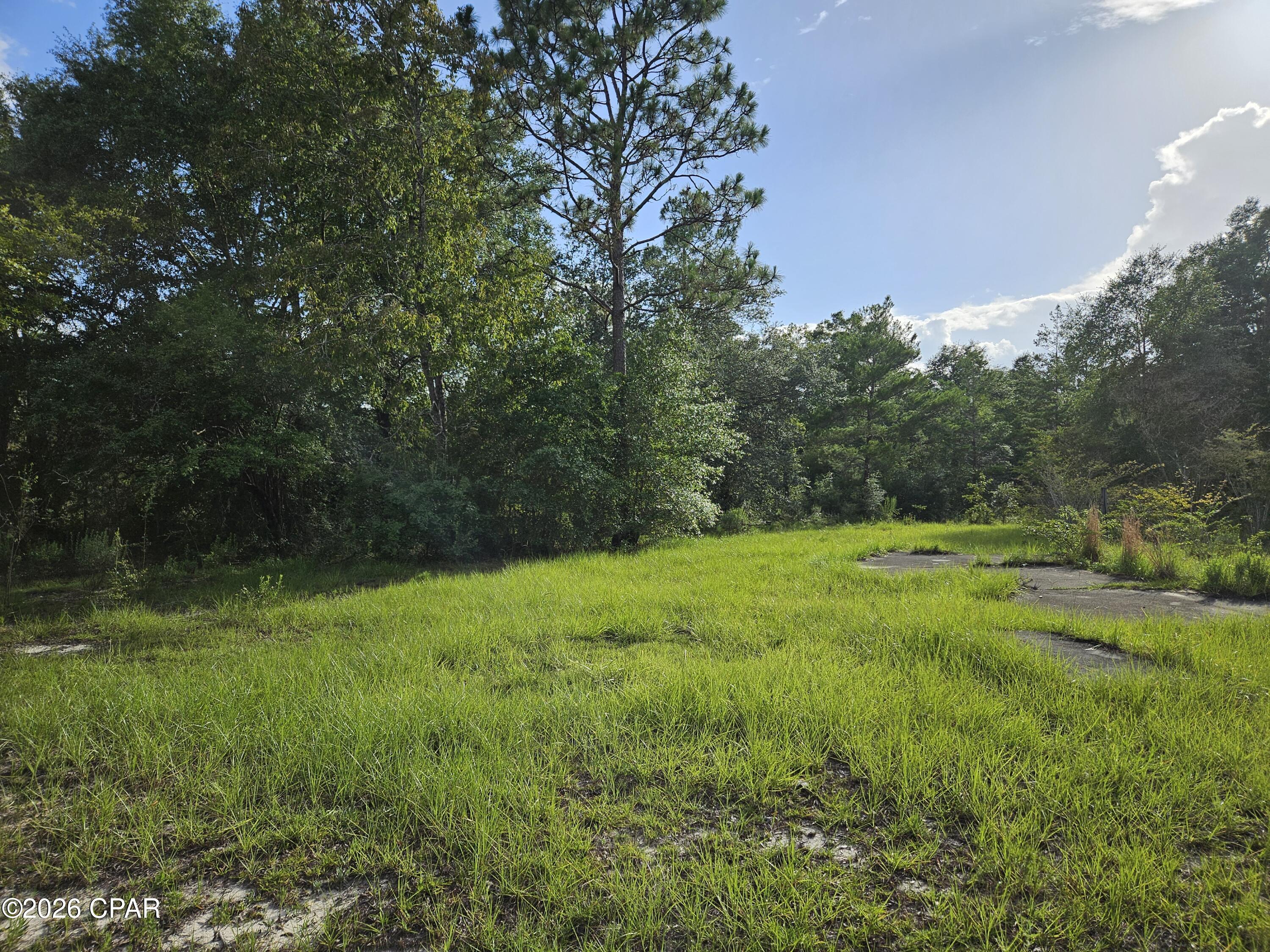 Leisure Lakes 1st Add - Land