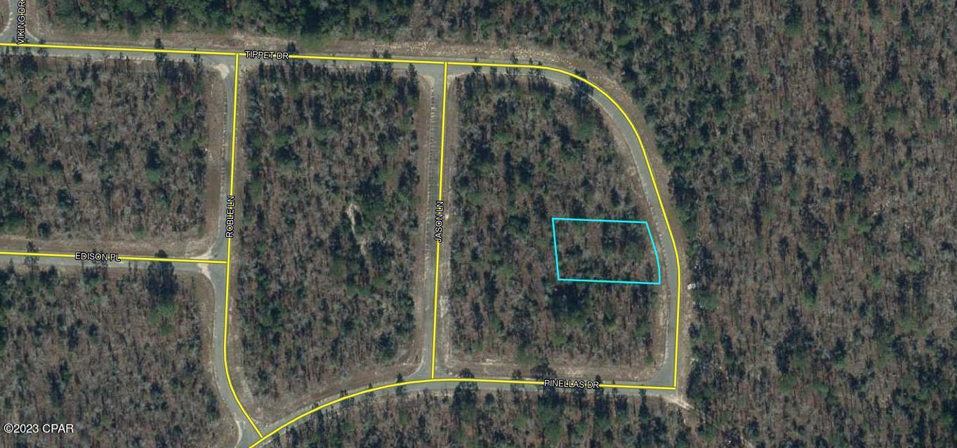 This is ONE of 4 adjoining lots.   Take advantage of this opportunity to own a piece of true Florida Landscape. This parcel has been left to its natural design with indigenous foliage. That means YOU get to decide which trees stay and which ones go. YOU get to decide where your driveway goes. YOU get to decide where your home will sit. Now YOU can turn this parcel into whatever YOU want. Maybe you are not ready to build, then that makes this land a great investment for your future. This property is only 45 min from Tyndall Air Force base, and less than 35 min to The Worlds Most Beautiful Beaches Panama City Beach Beach and Famous Pier Park Shopping. Also there are several State Parks and cool deep water springs all within an hour. One of the best parts of living in Northwest Florida is you get to experience all of the seasons with beautiful weather (and no snow to shovel). Sunny Hills is home to a golf course, Boat Lake Swim Park and a recreational park . Sunny Hills has seen recent growth overall with many builders currently building new homes in the area once again. This property has several lakes and ponds close by where you can find some of the best fishing on the planet. This property is just off highway 77.  Call today !!!!!!
