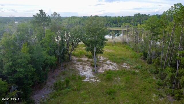 WATERFRONT LIVING IN SUNNY HILLS!
Build the home you've always dreamed of on this exceptional 3.97-acre waterfront property overlooking beautiful Black Hole Pond. Located within the gated community of Paradise Lakes, this oversized parcel combines two lots, providing an abundance of space, privacy, and flexibility for your future home.
The property is cleared and ready for your vision, offering a peaceful waterfront setting while still being conveniently located near area amenities. Enjoy easy access to the Sunny Hills Golf Course, while Panama City is only approximately 25 miles away.
Whether you're looking to build a private retreat, a full-time residence, or a weekend getaway, this unique waterfront property offers the perfect opportunity to create your own slice of paradise in Sunny Hills.
Nearly 4 acres • Waterfront • Gated Community • Cleared & Build-Ready • Close to Golf & Panama City
