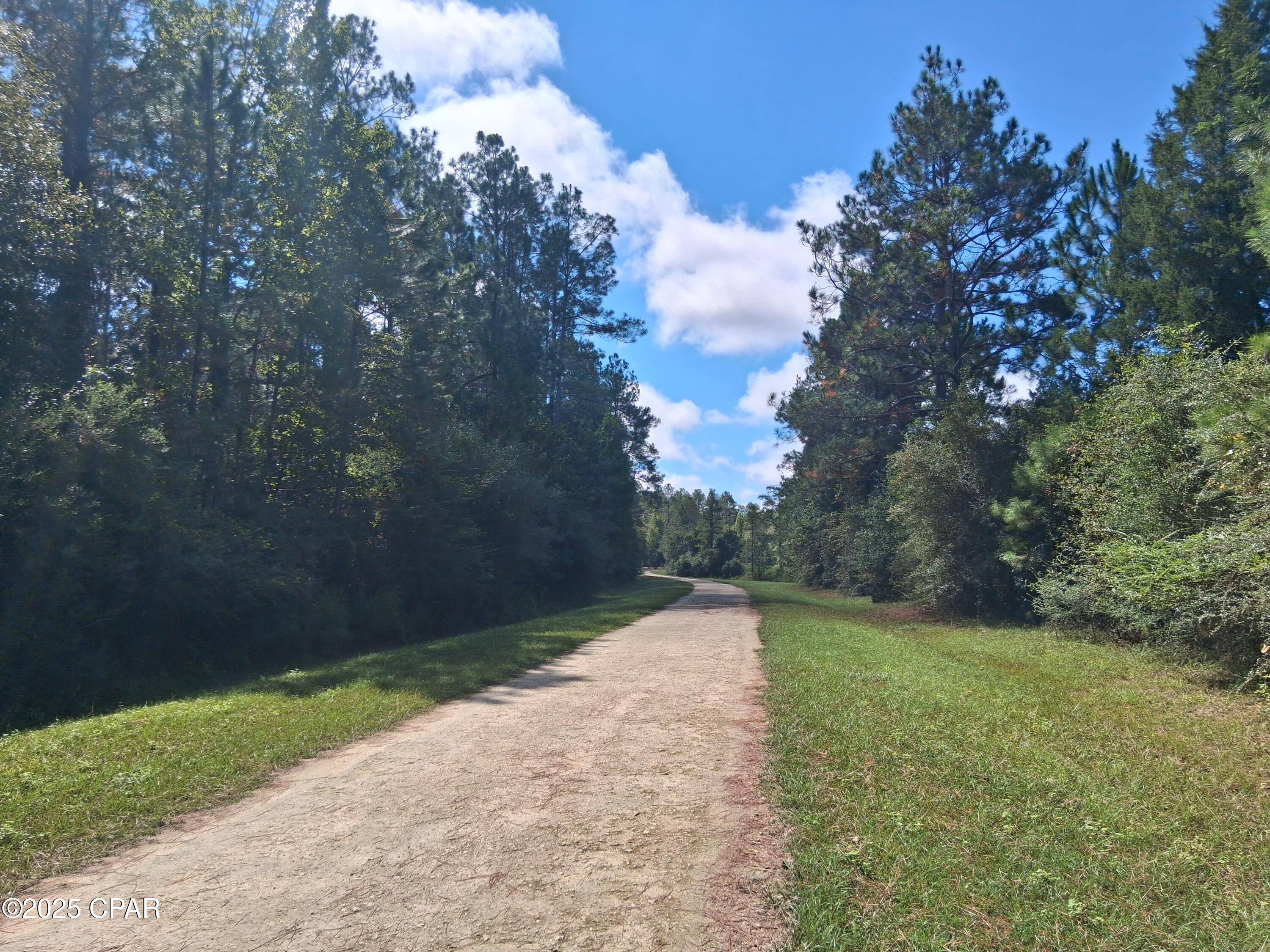 Reedy Creek - Land