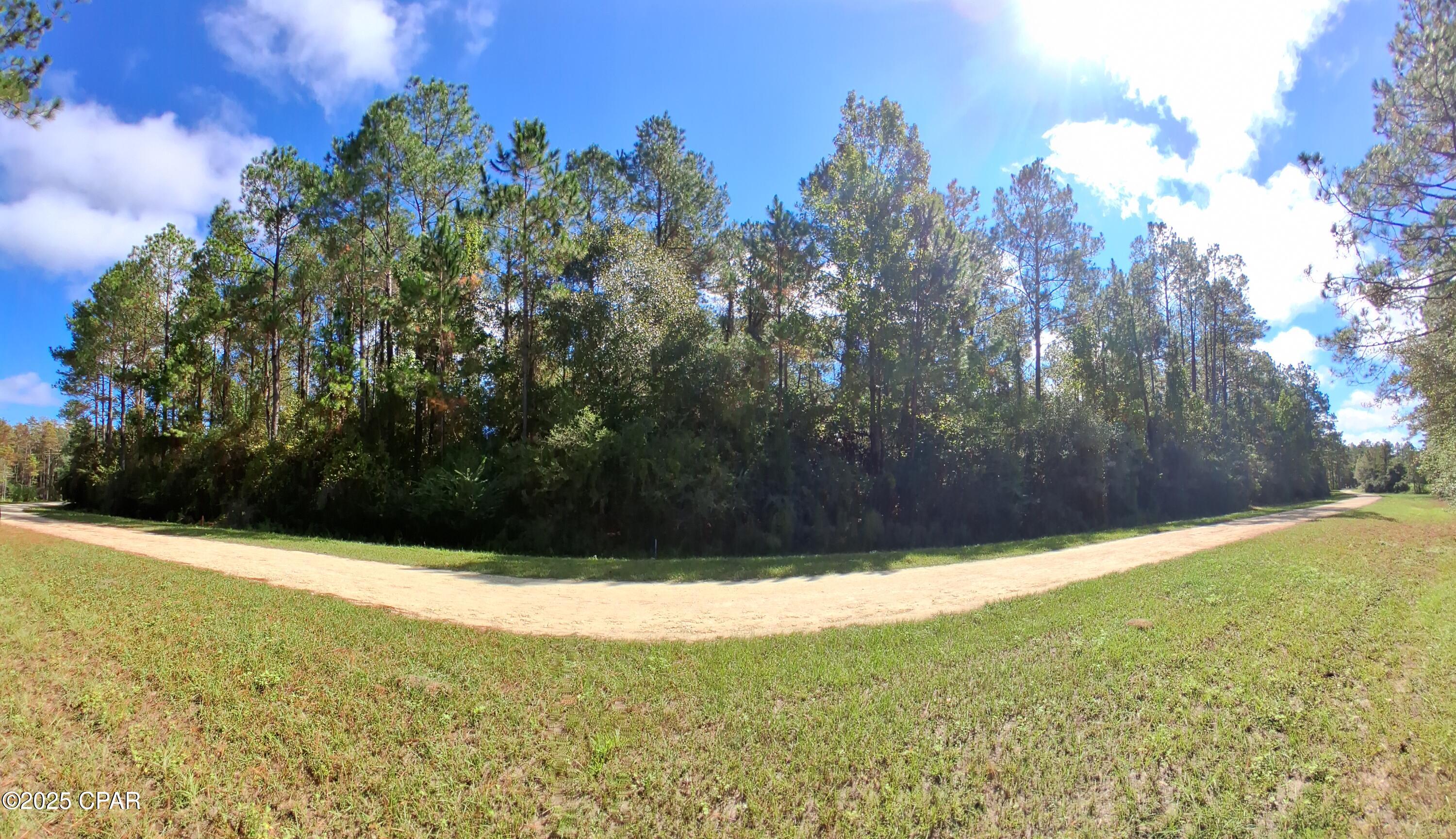 Discover over 12 acres of natural beauty in the desirable Reedy Creek subdivision. This peaceful community has been thoughtfully preserved in its natural state, showcasing some of the most stunning topography in the Florida Panhandle. With only a few homes built so far, you'll enjoy both privacy and space to design your dream home surrounded by mature hardwoods and abundant wildlife. White-tail deer, fox squirrels, and bald eagles are frequent visitors. Outdoor enthusiasts will love the proximity to nearby springs, creeks, lakes, and the world-famous beaches of the Gulf Coast. A rare opportunity to create your own retreat among nature!