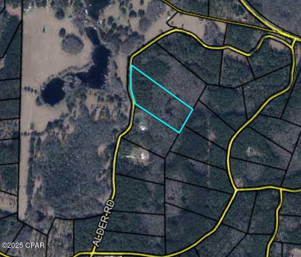 Reedy Creek - Land