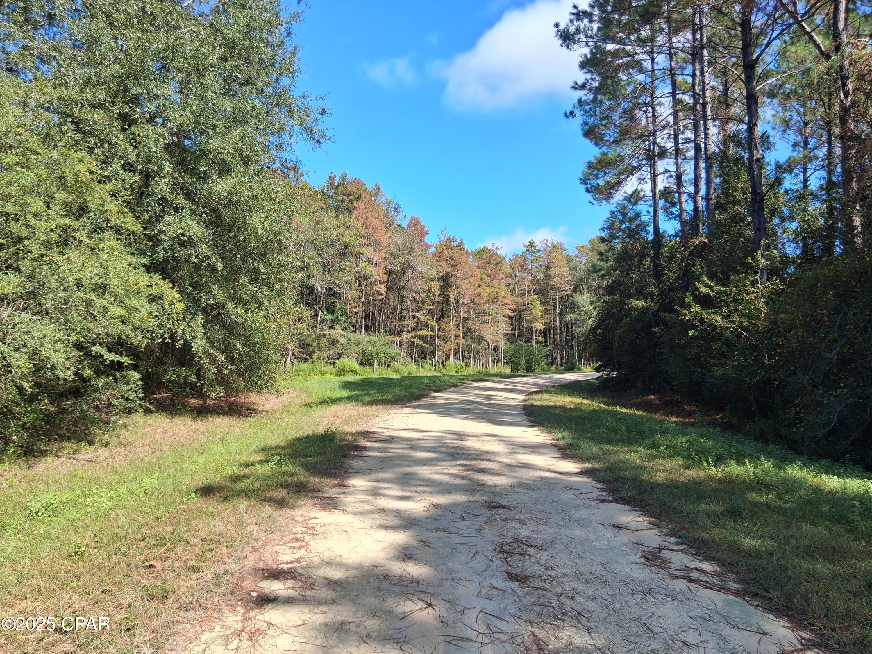 Reedy Creek - Land