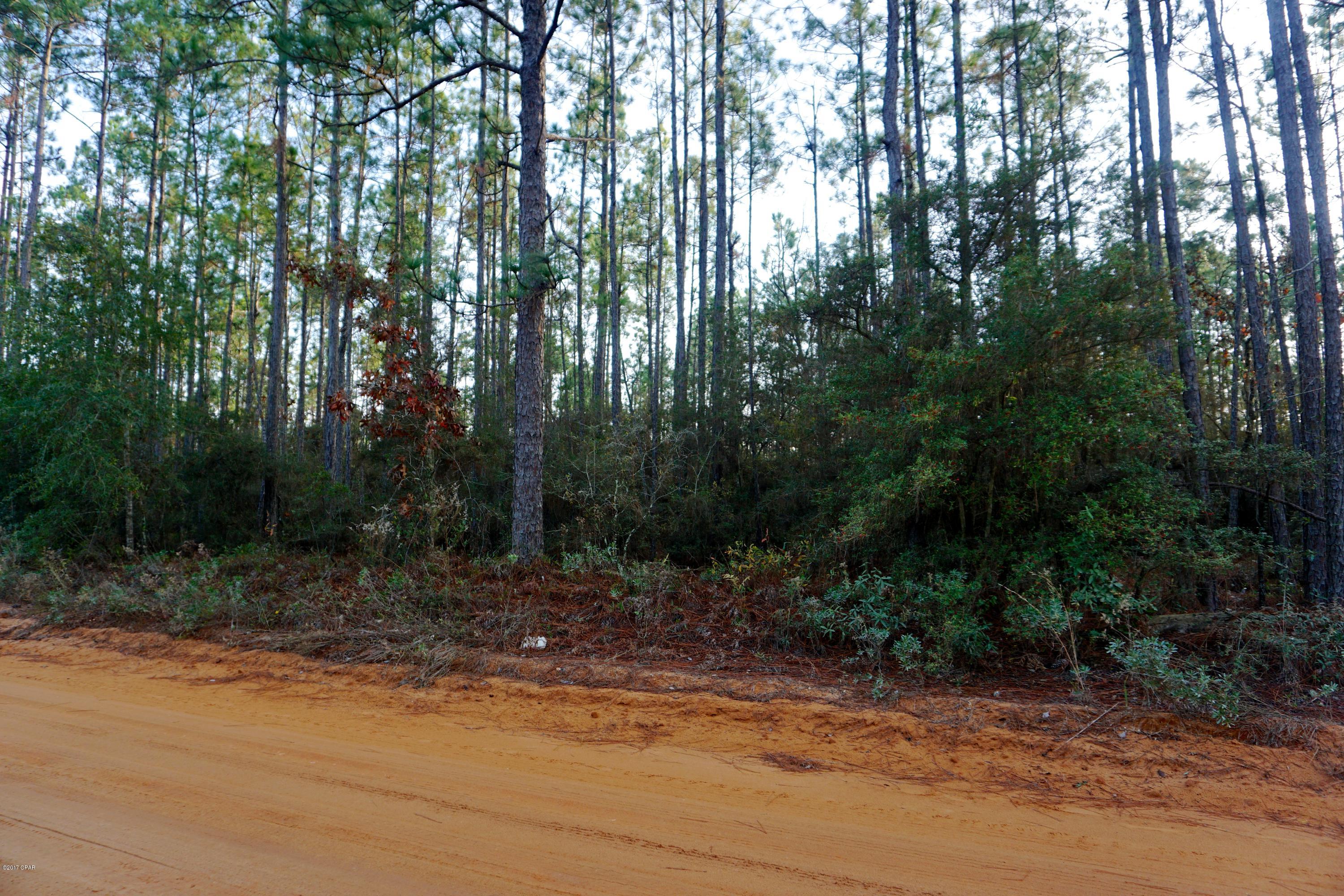 Buckhorn Creek - Land
