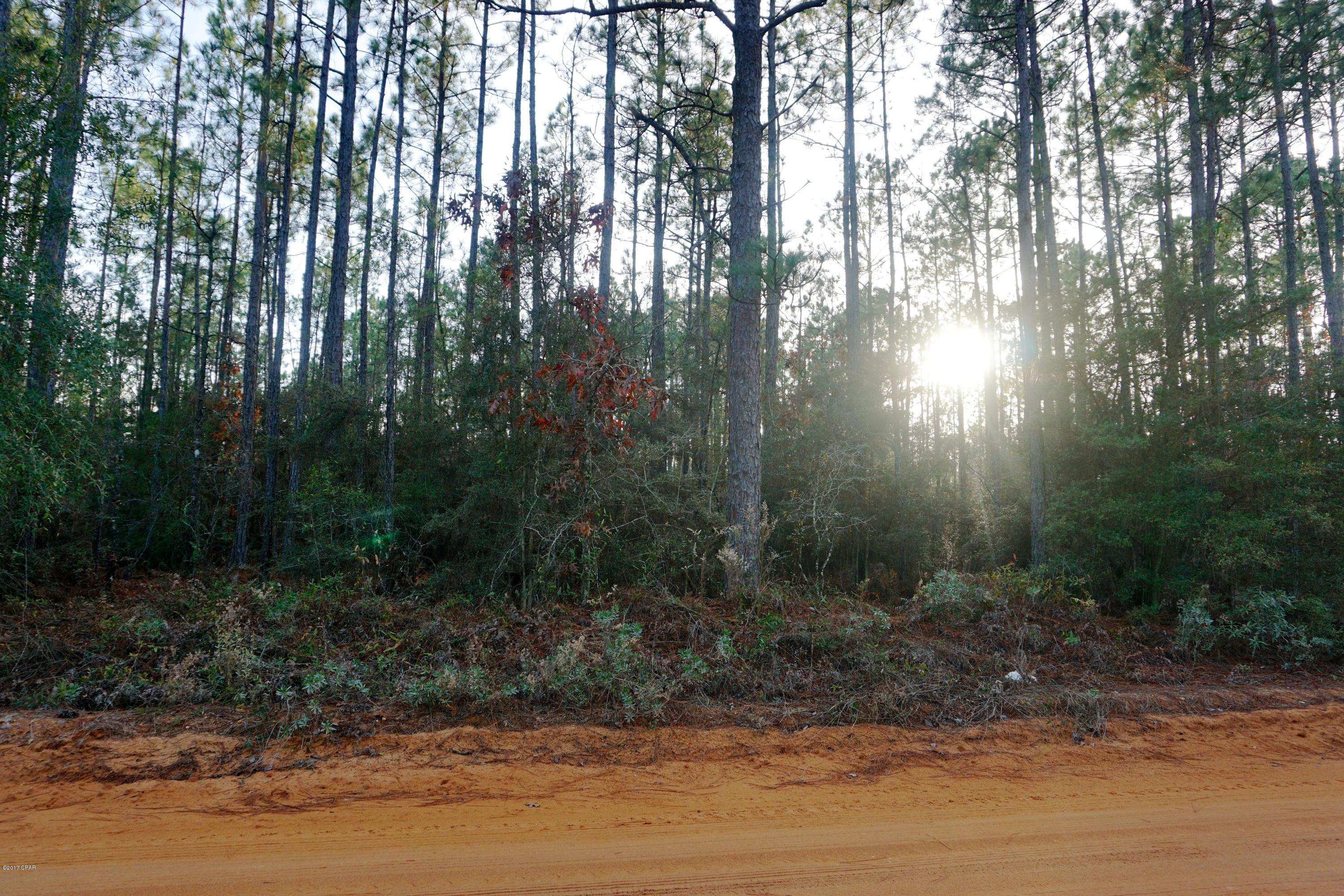 Buckhorn Creek - Land