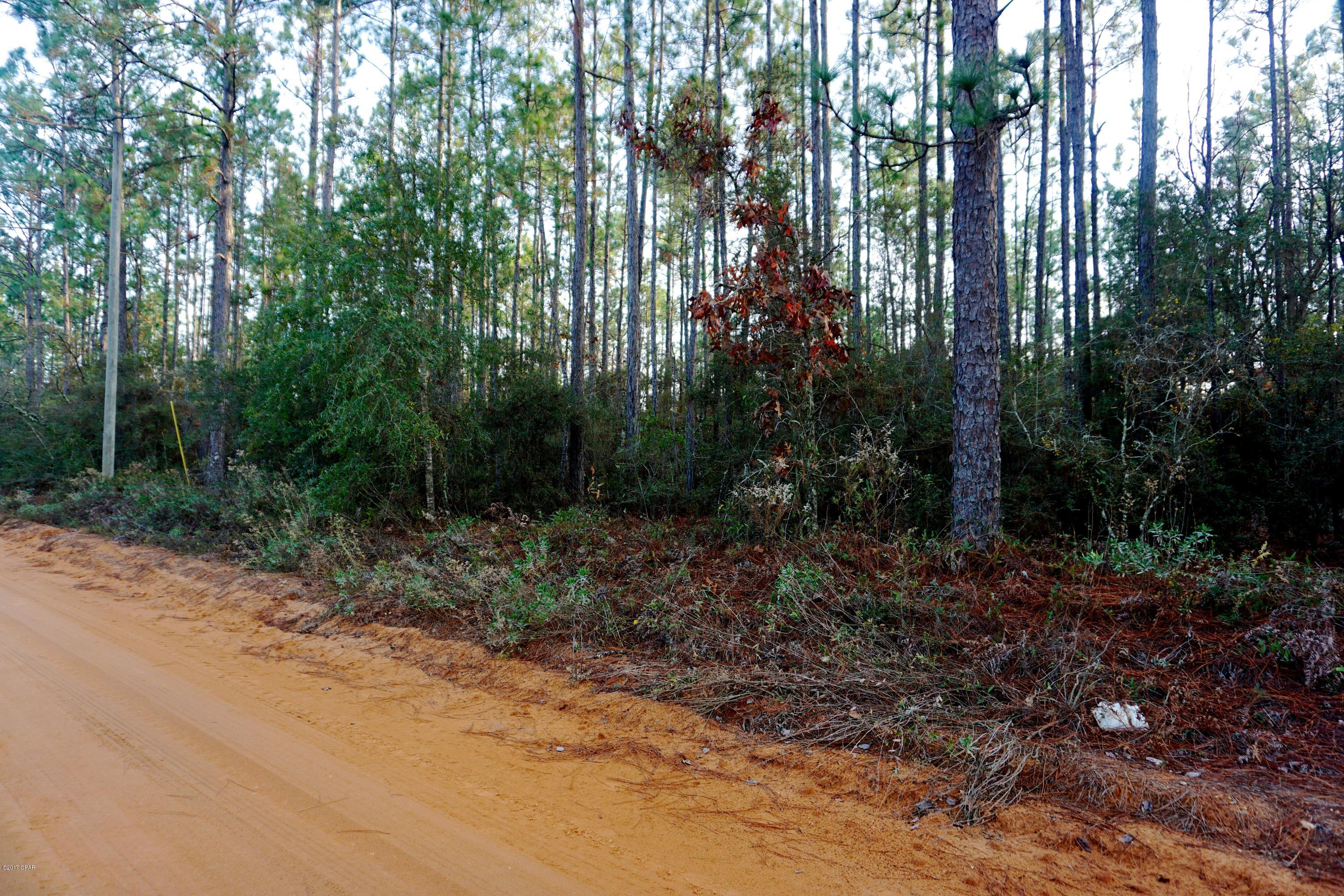 Buckhorn Creek - Land