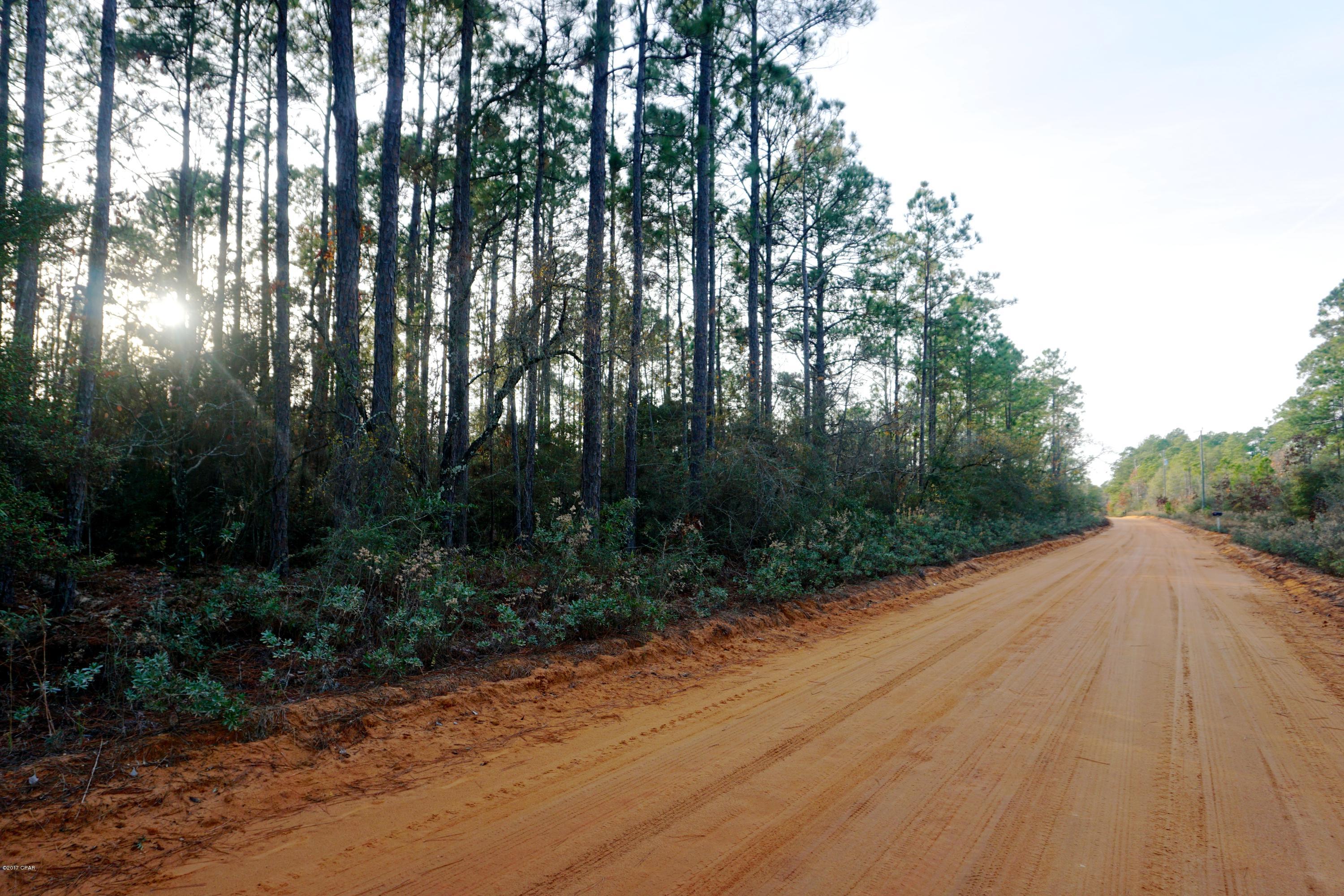 Buckhorn Creek - Land
