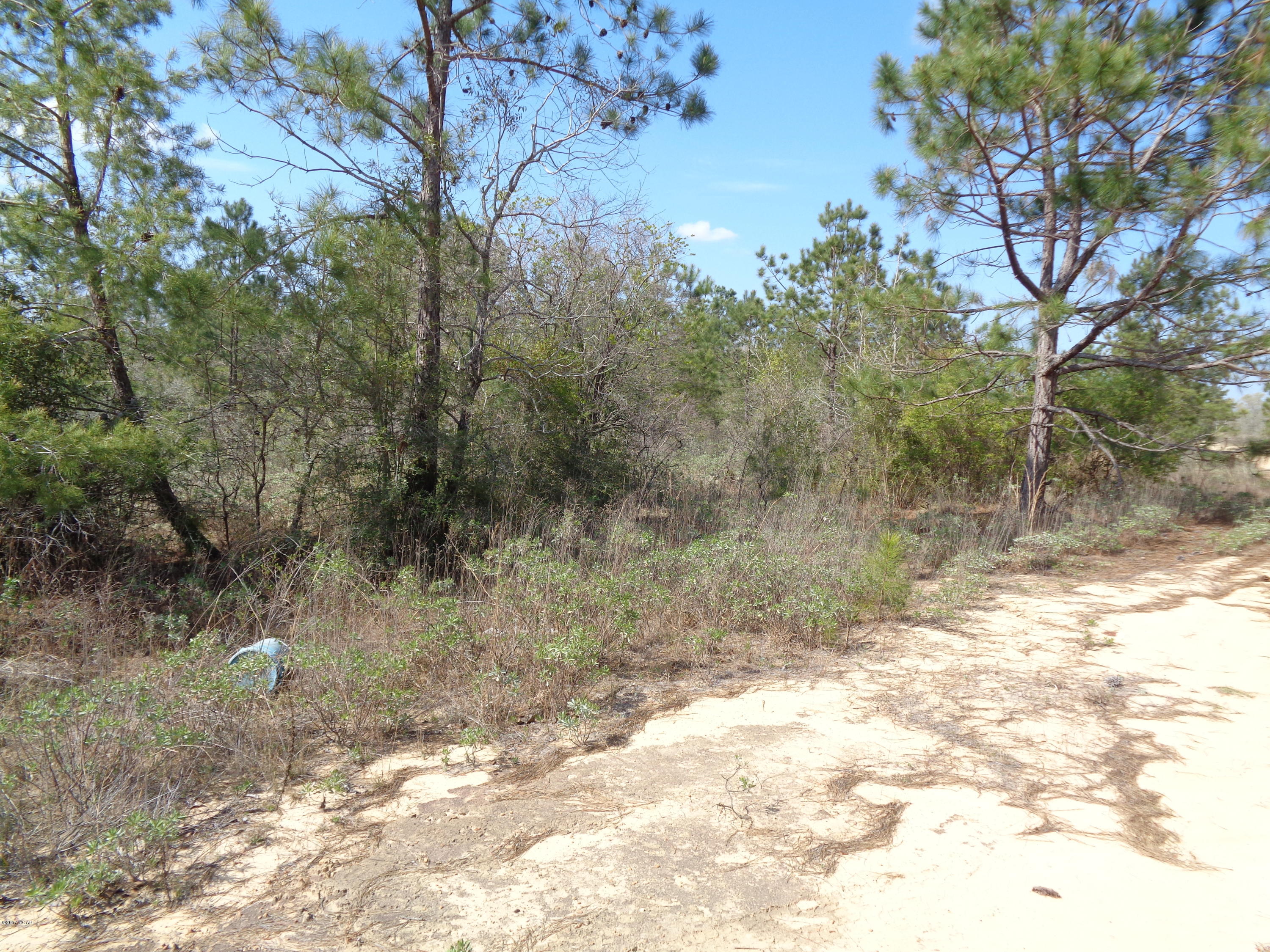 Great acreage for a home or for a getaway/hunting camp.Looking for privacy this is it. Great place to ride four wheelers with lots of privacy .Property adjoins NWF WATER MGMT property of 394 acres.