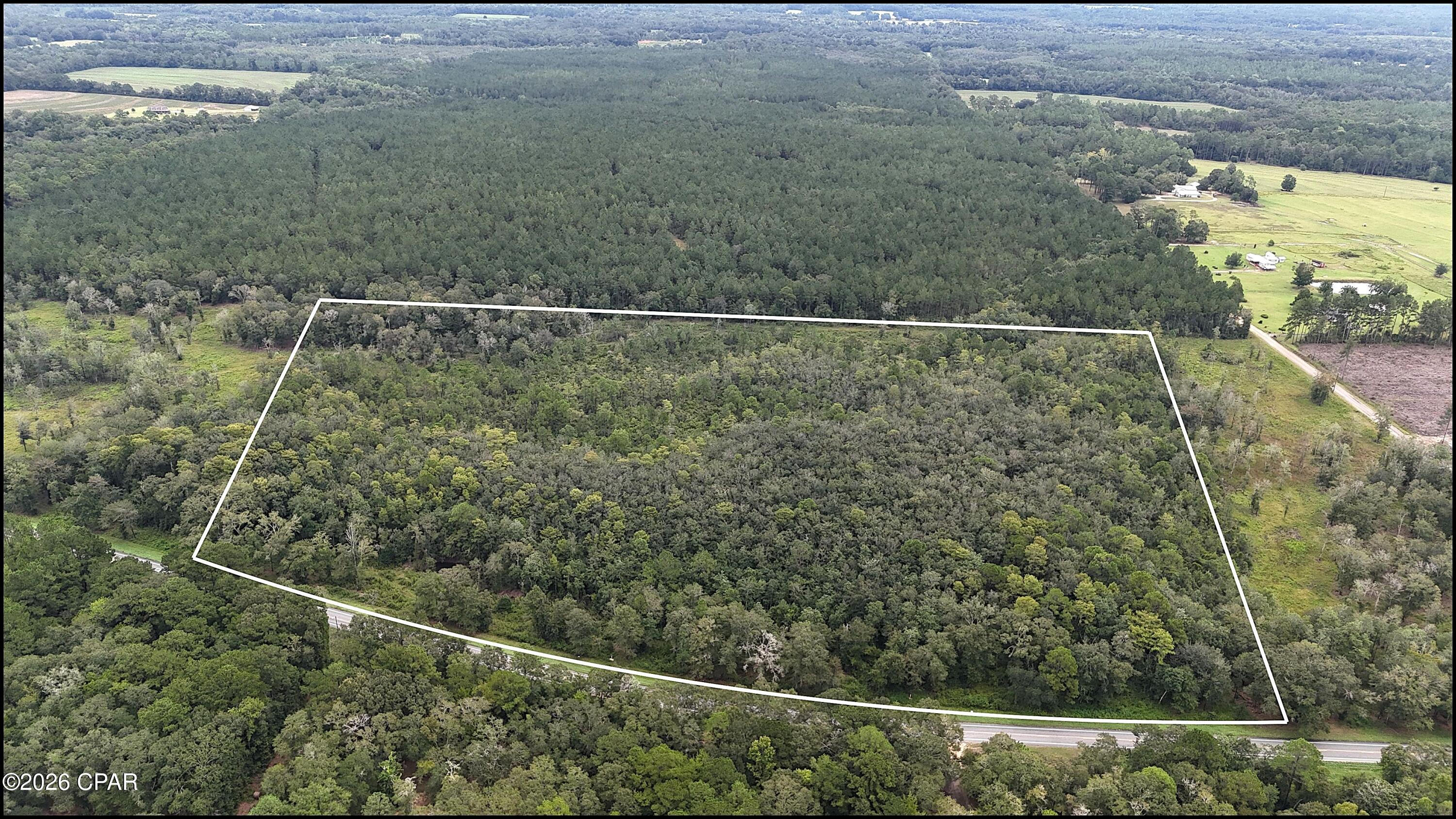 This premier 29.29-acre wooded tract in Holmes County's newly established Homestead Hollow subdivision offers an excellent opportunity for anyone seeking a spacious country acreage with great accessibility. The property boasts approximately 1,350 (+,-) feet of road frontage along Highway 173, providing easy access and great visibility for a future homesite, farm, or private retreat. A nice stand of mature timber covers the land, offering plenty of natural privacy and a peaceful rural setting to build or hold as a long-term investment. While the property feels quiet and secluded, it is only a quick drive into the nearby towns of Bonifay or Graceville, making your everyday grocery shopping, errands, and local dining completely hassle-free. Additionally, you are positioned just over an hour's drive from Panama City Beach, allowing you to easily enjoy the world's most beautiful white sand beaches and coastal entertainment on weekends while living the quiet country life.