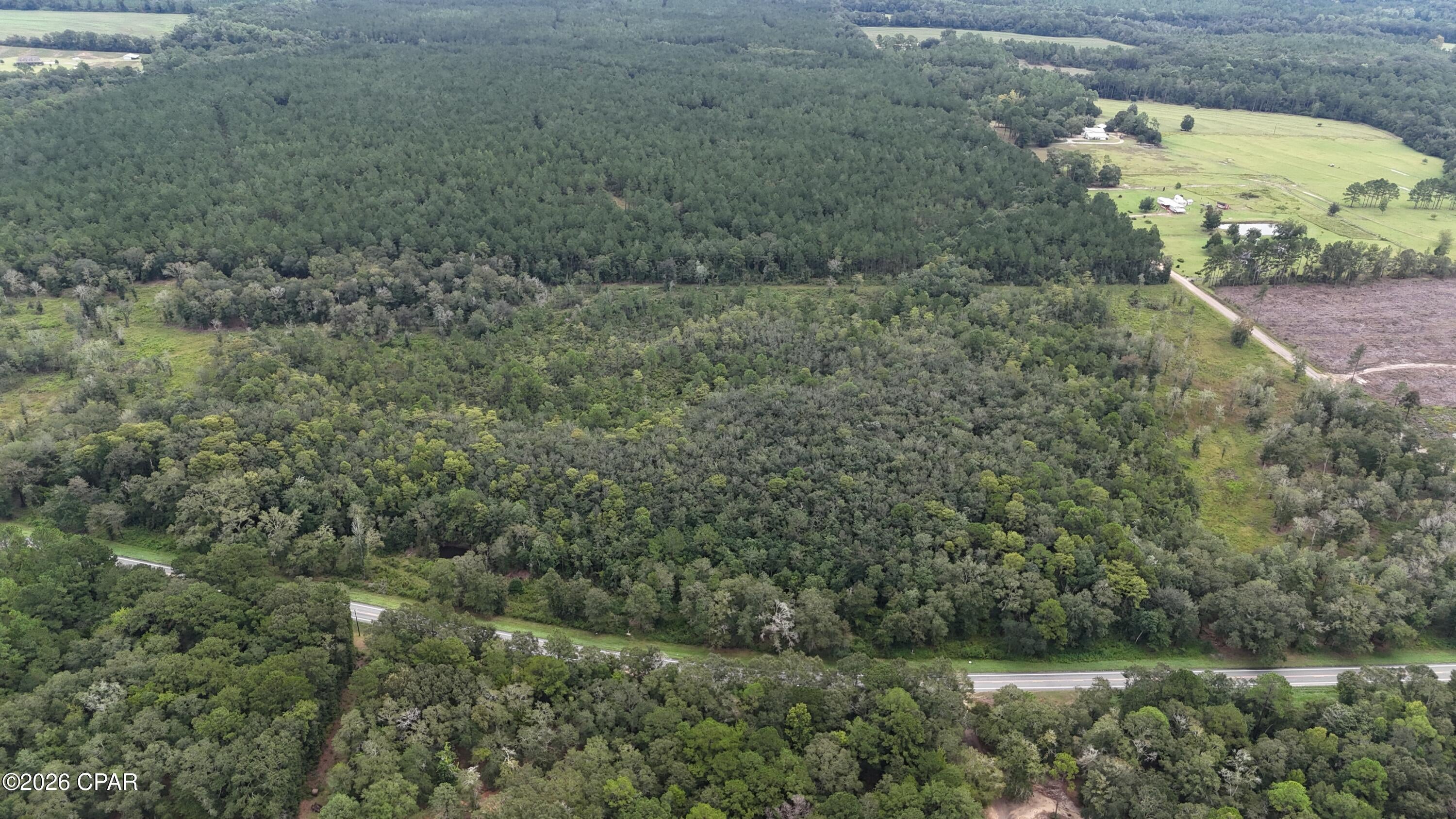 Homestead Hollow - Land