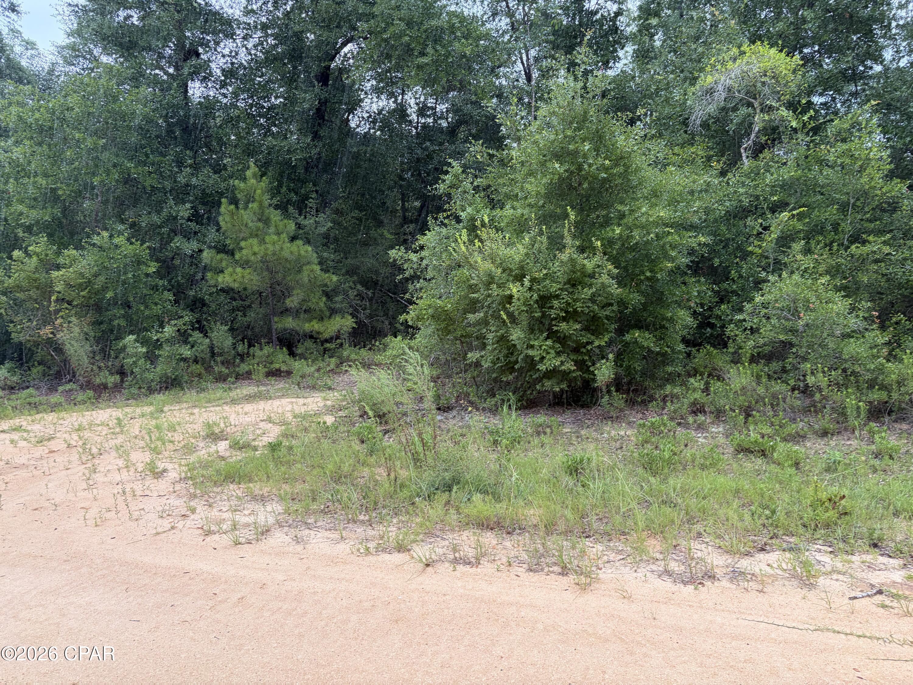 Compass Lake In The Hills - Land