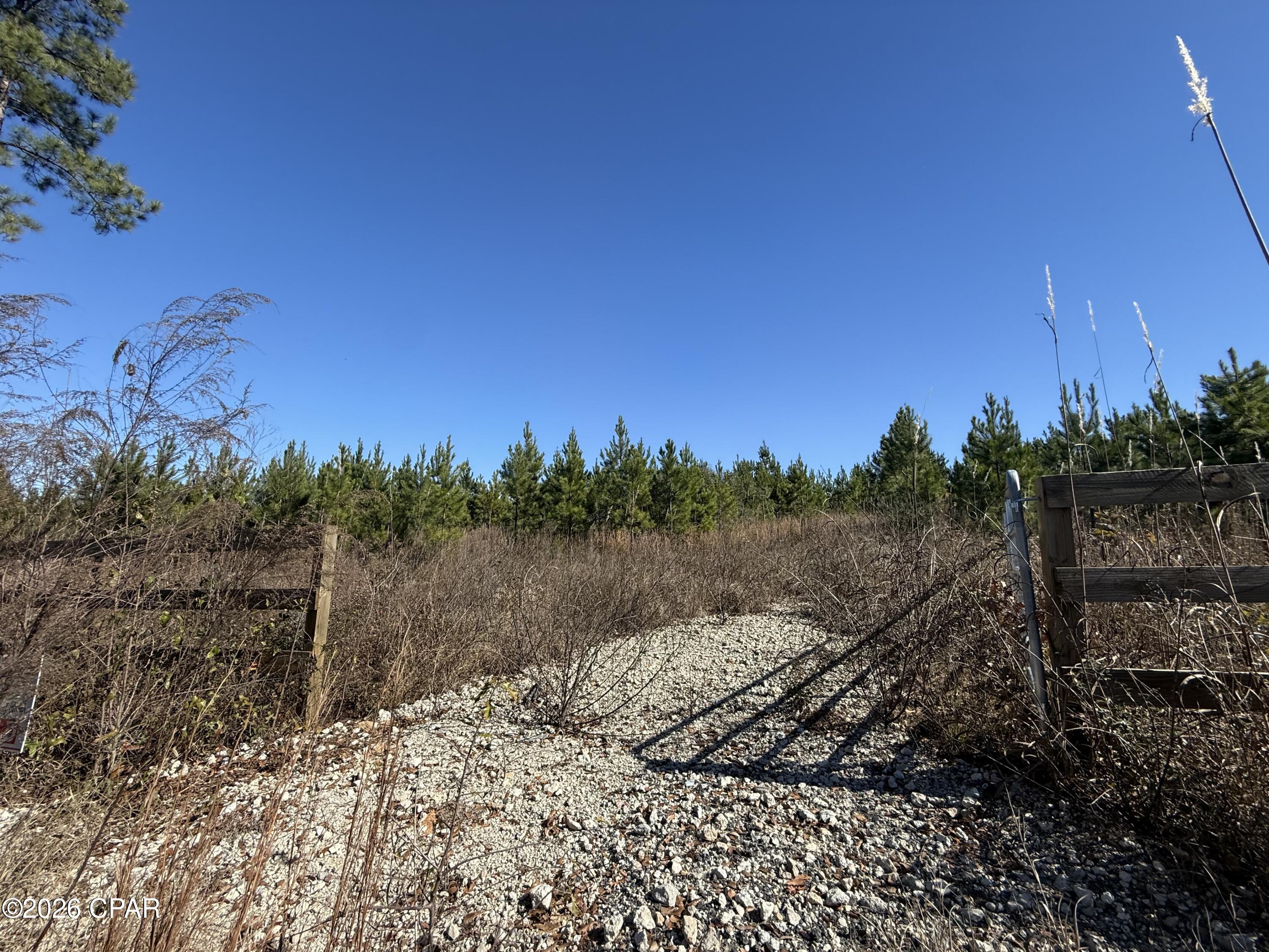 Escape to the perfect blend of privacy and convenience with this beautiful 10.01-acre parcel located on the outskirts of Marianna, Florida. This property is all high and dry and not located in a flood zone, offering peace of mind and excellent build potential. Featuring a gated entrance and planted pines, the land provides a peaceful, rural setting ideal for your dream homesite. Situated on a well-maintained crushed asphalt road, the property offers easy access while maintaining a quiet, country feel.

To preserve the character of the area, mobile homes are not permitted, yet there is no HOA, allowing freedom without restrictive fees or oversight. Enjoy the serenity of nature, abundant space, and privacy—all while being just minutes from town amenities, shopping, and schools.

If you're seeking room to breathe, tranquility, and a prime location for a custom home, this property delivers the best of both worlds: rural charm with modern convenience.
