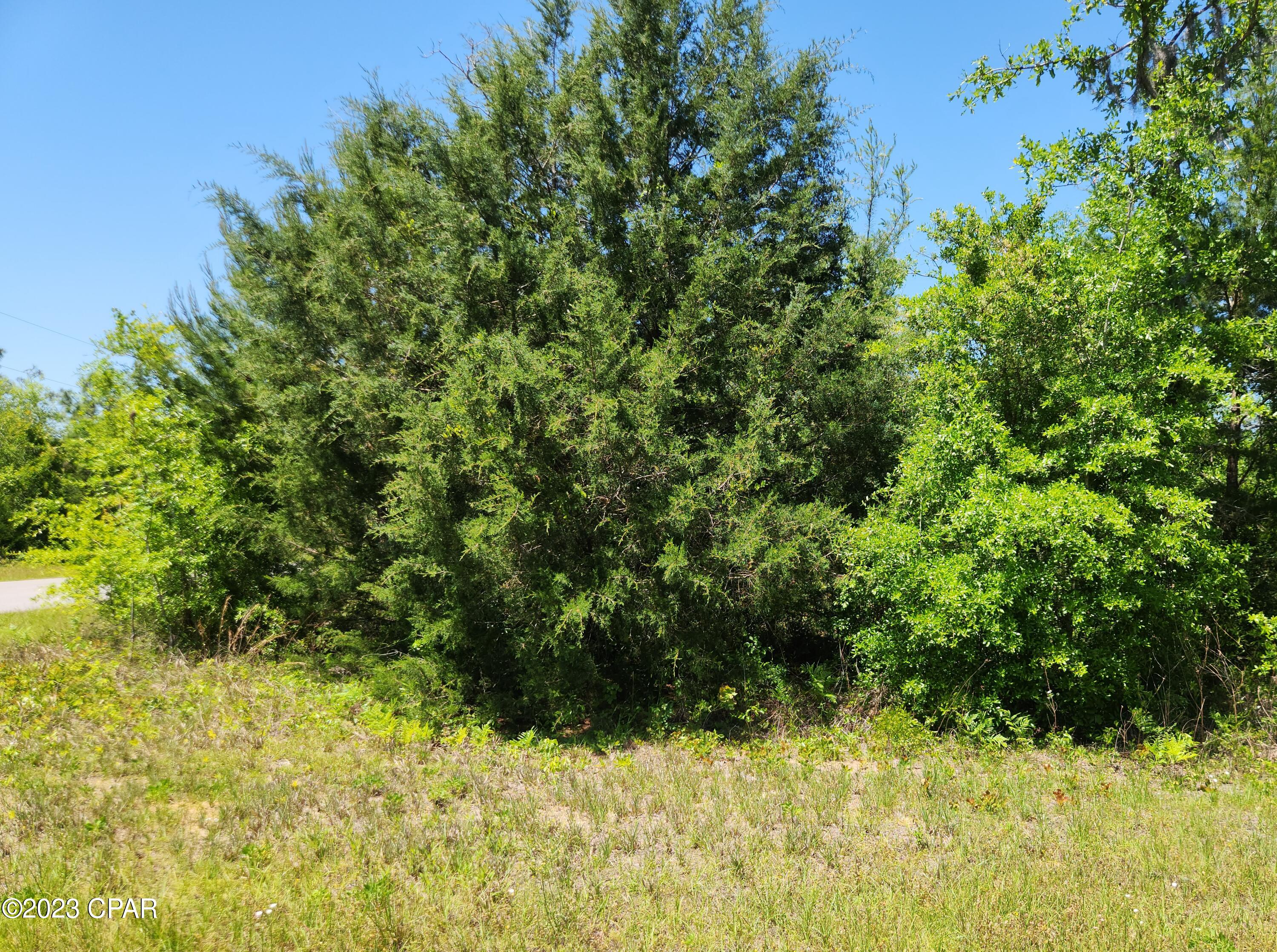 Lake Mckenzie Homes - Land