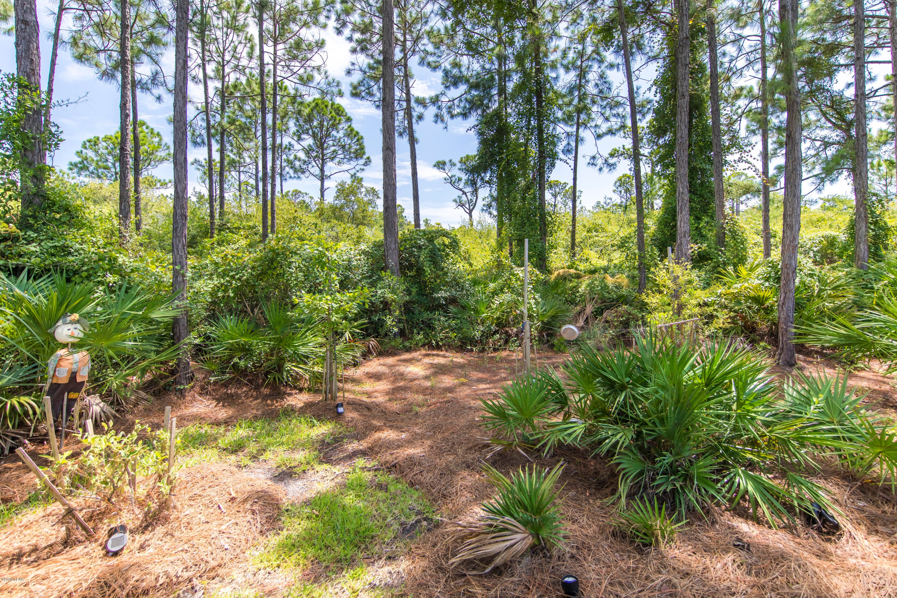 Palmetto Trace Phase III - Residential
