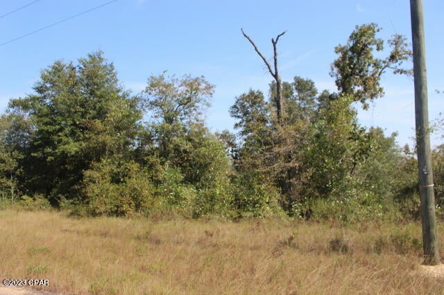 Sunny Hills Unit 9 - Land