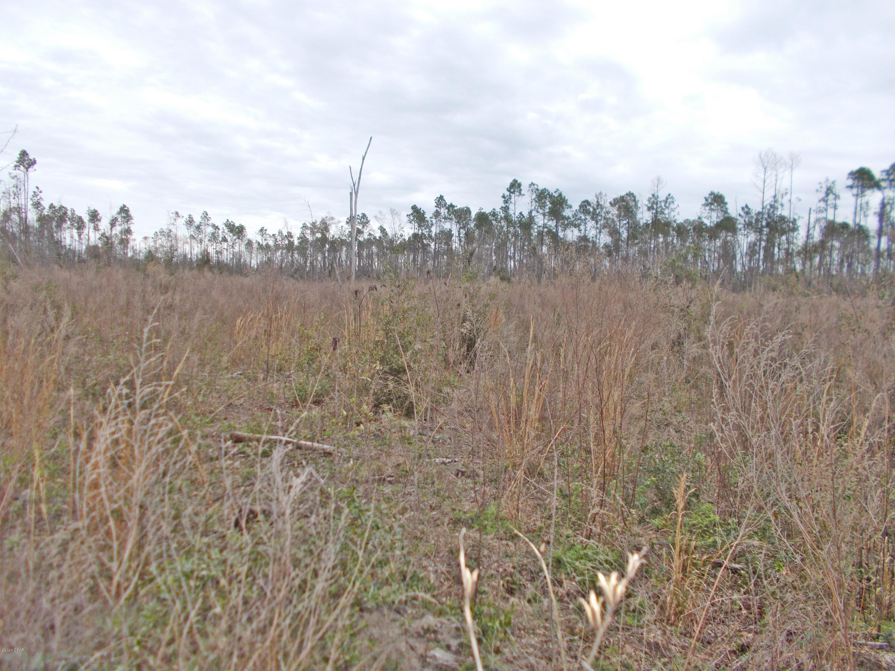 Vacant land for  mobile homes or building, county water is available, nice cleared level lot with a current survey.